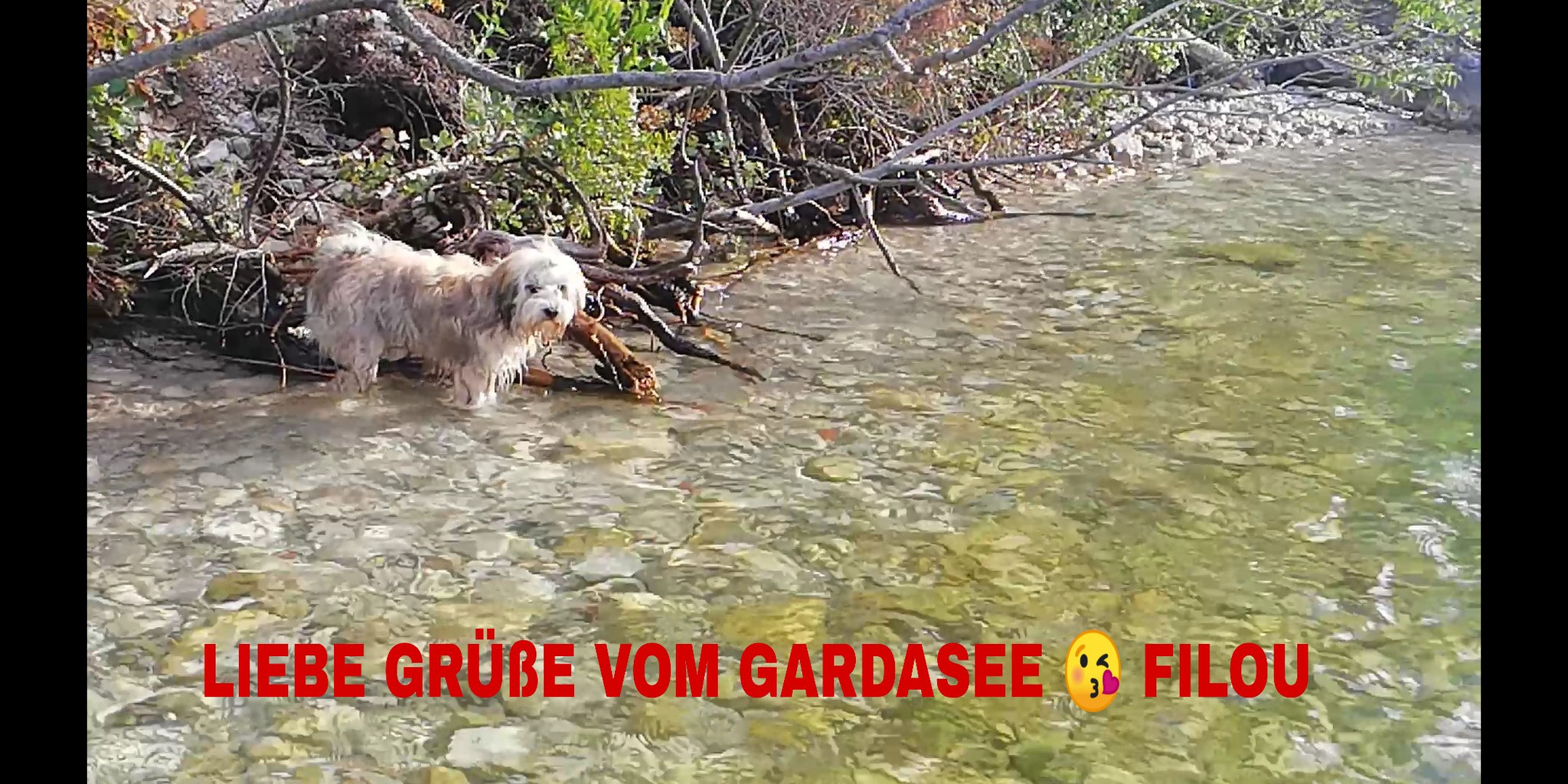 fährt sehr gerne in den Urlaub :-)