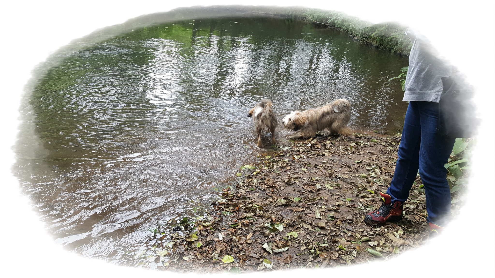 ..du traust dich ins Wasser ????