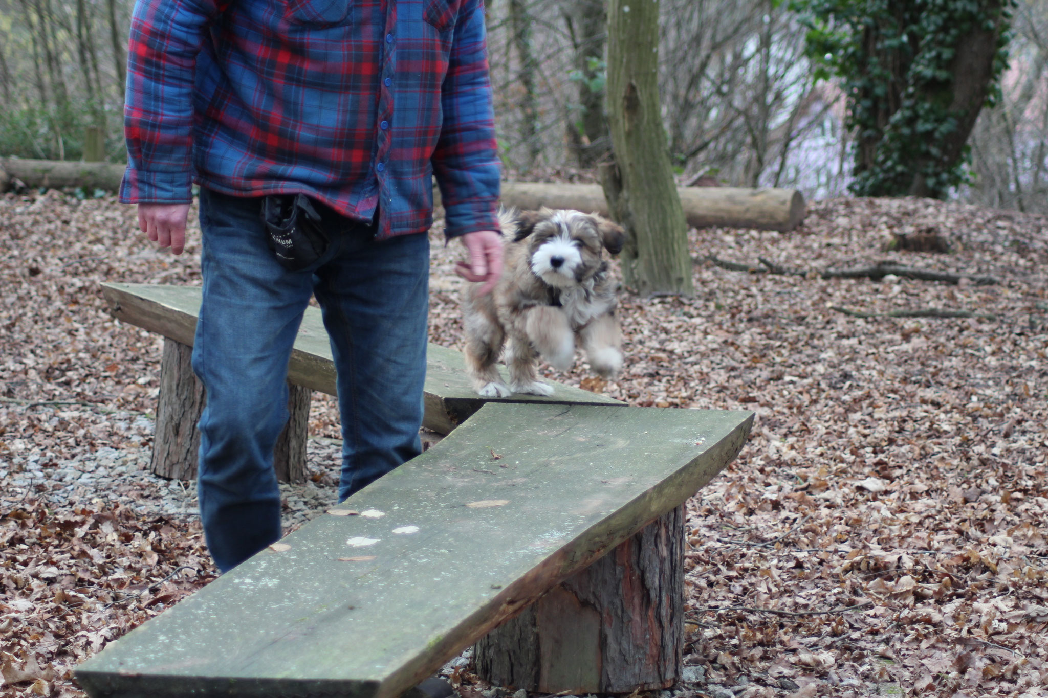 viel Spaß haben die zwei, man sieht richtig