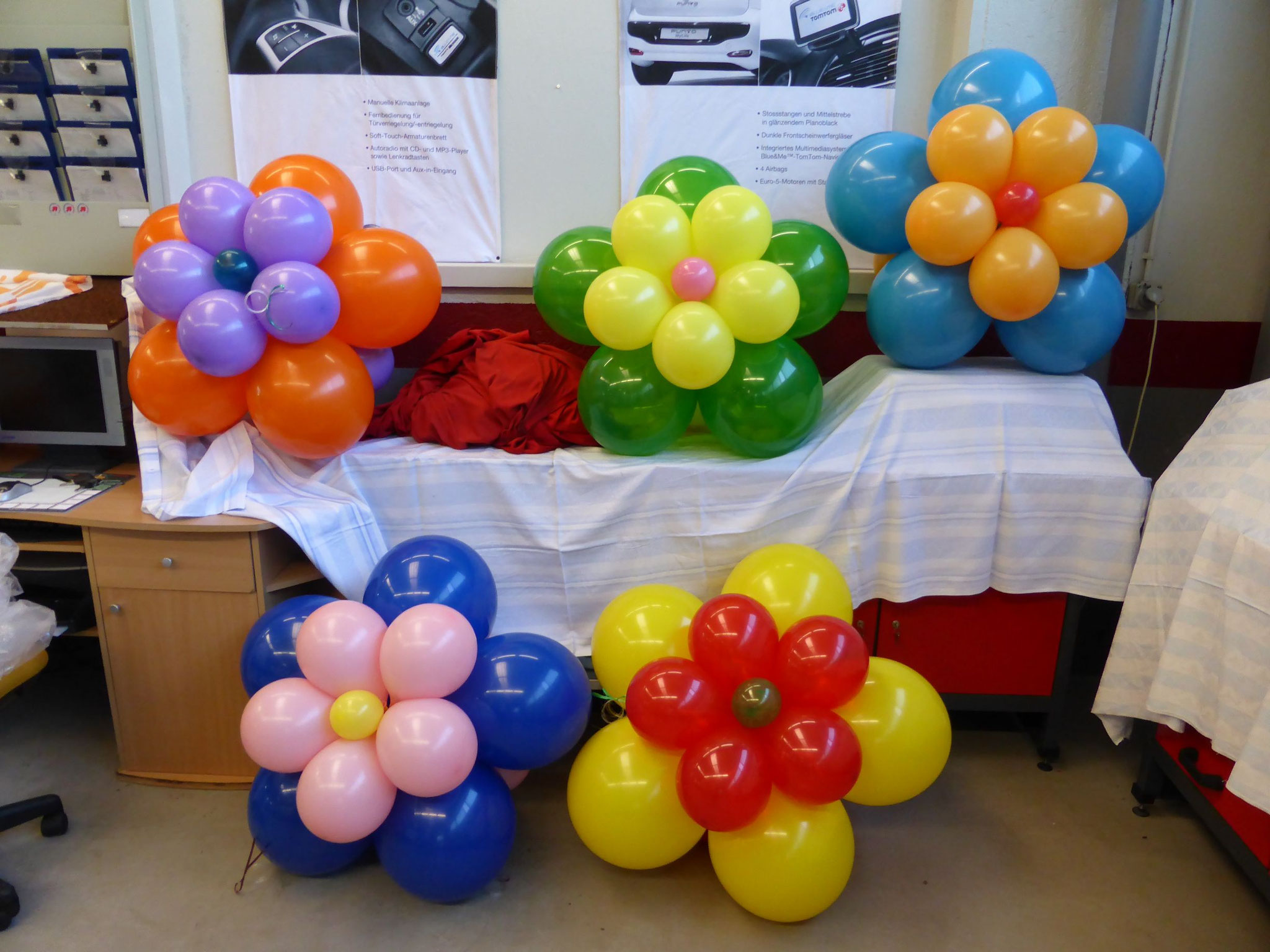 Ballonblumen