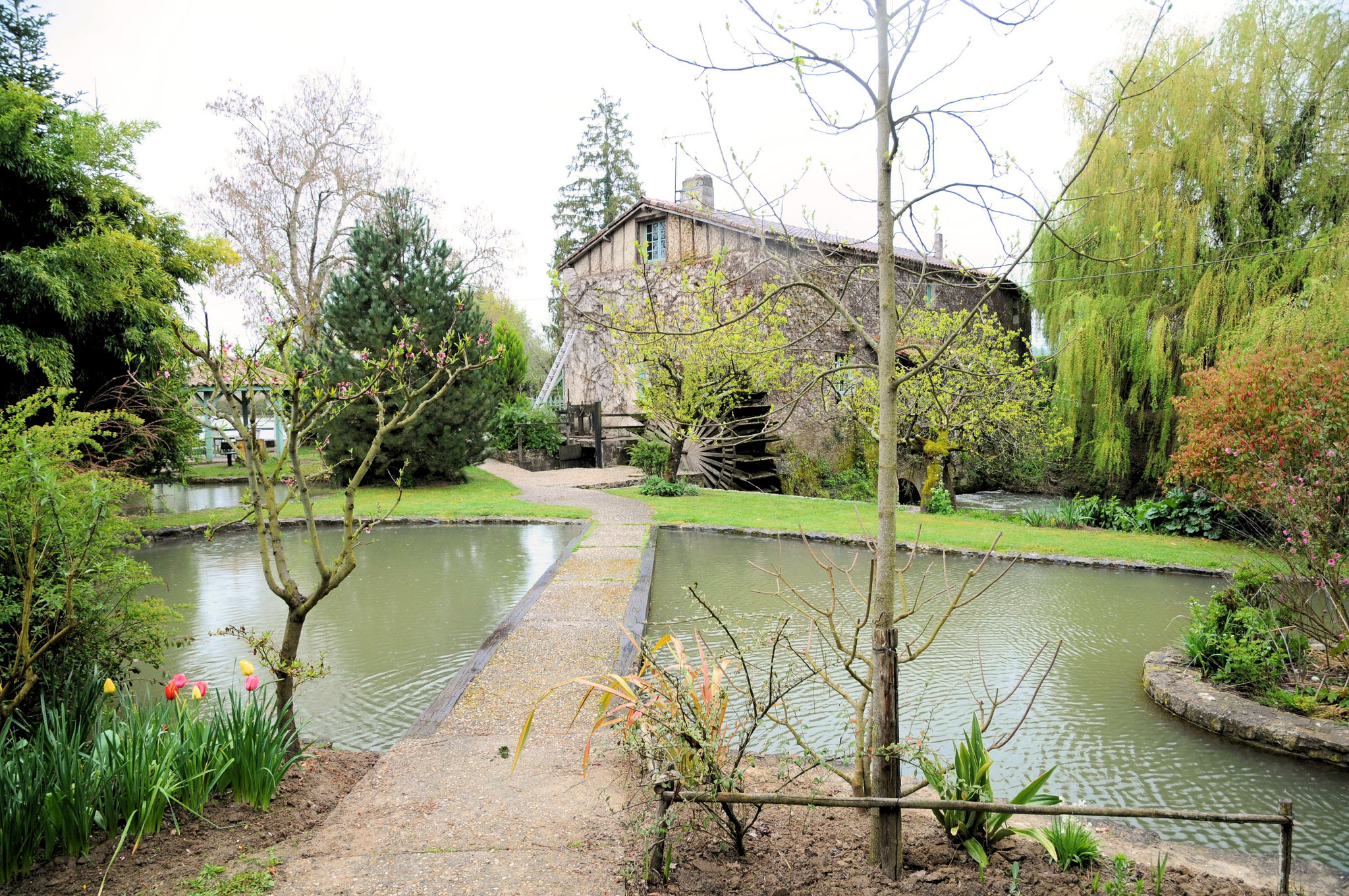 Le moulin de Cocussotte