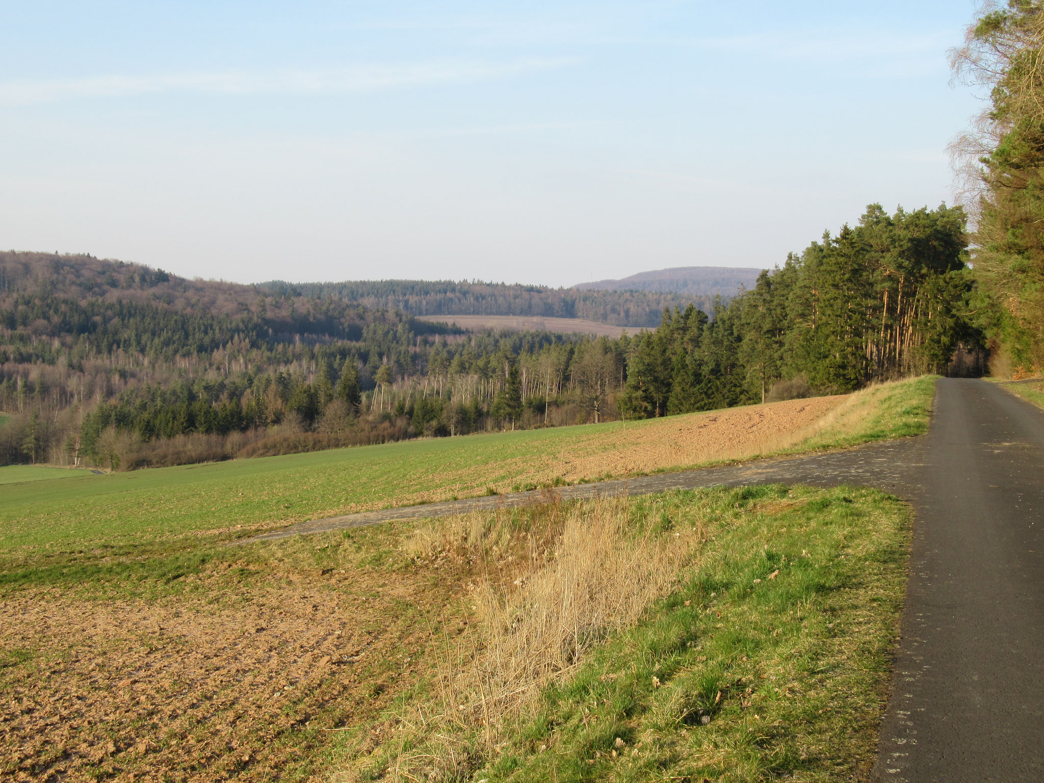 Blick aufs "Grüne Band", das Feld in der Mitte im Hintergrund ist schon Thüringen.