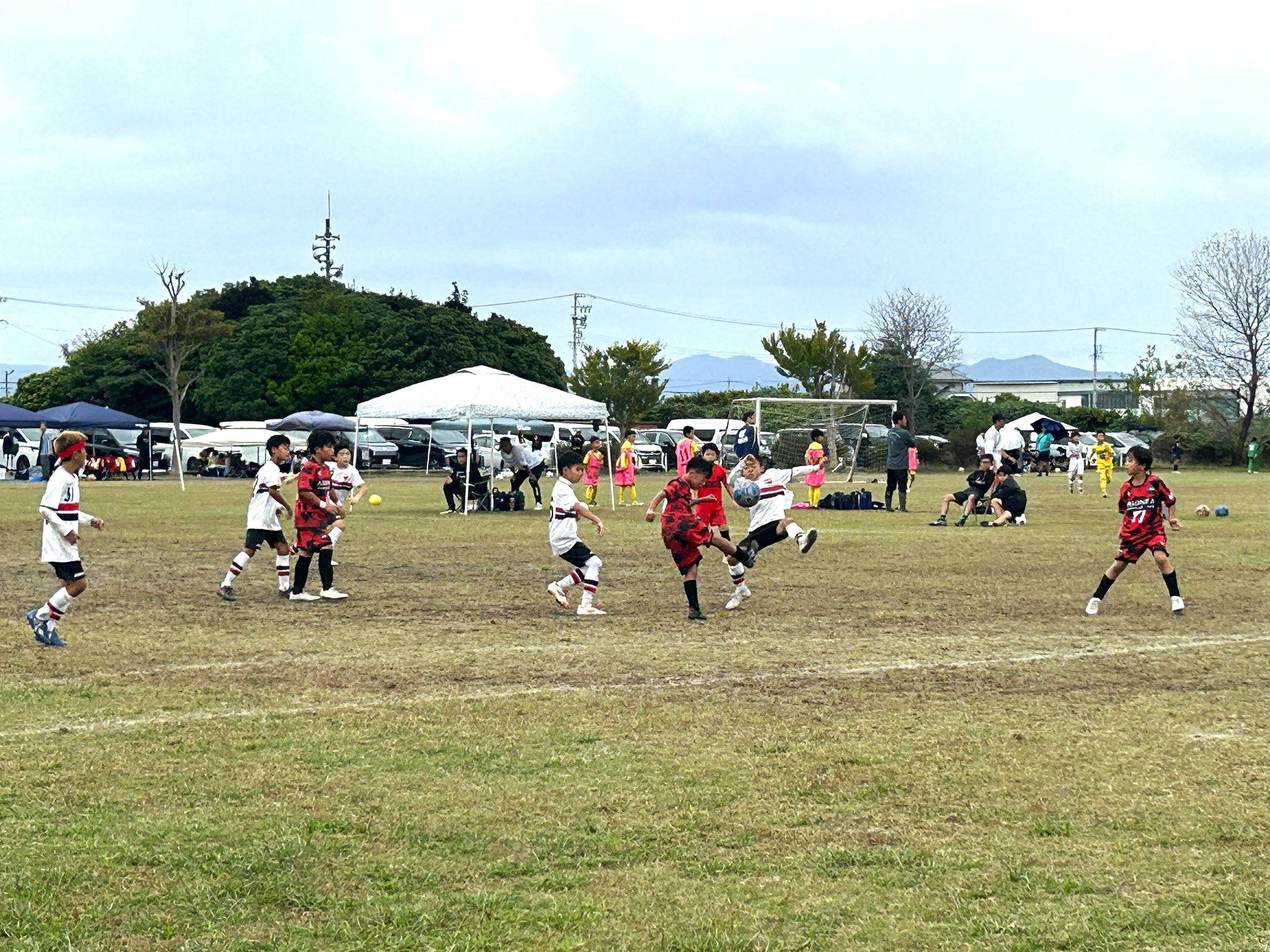 ディアブロッサ高田 VS FC ALONZA