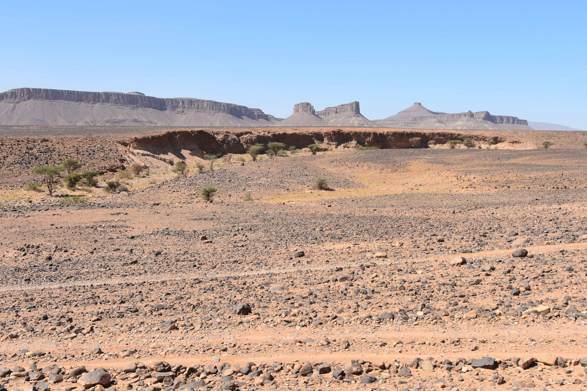 Marokko, Overlanding, 4x4 Gelendewagen Tour, Sand Tour, Allradler,Landcruiser, Land Rover, Toyota