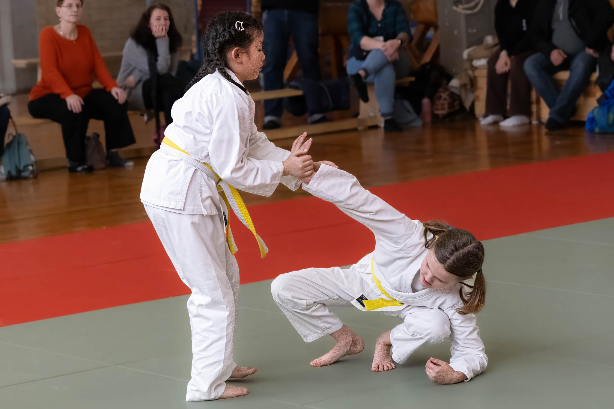 Jiu-Jitsu Lions / Jiu-Jitsu Dragons / Zen-Ki-Budo e.V.