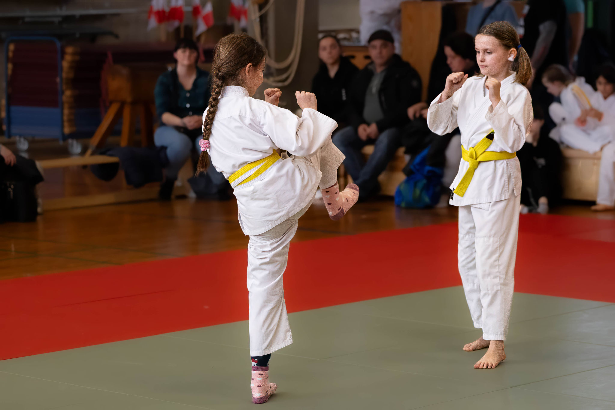 Jiu-Jitsu Lions / Jiu-Jitsu Dragons / Zen-Ki-Budo e.V.