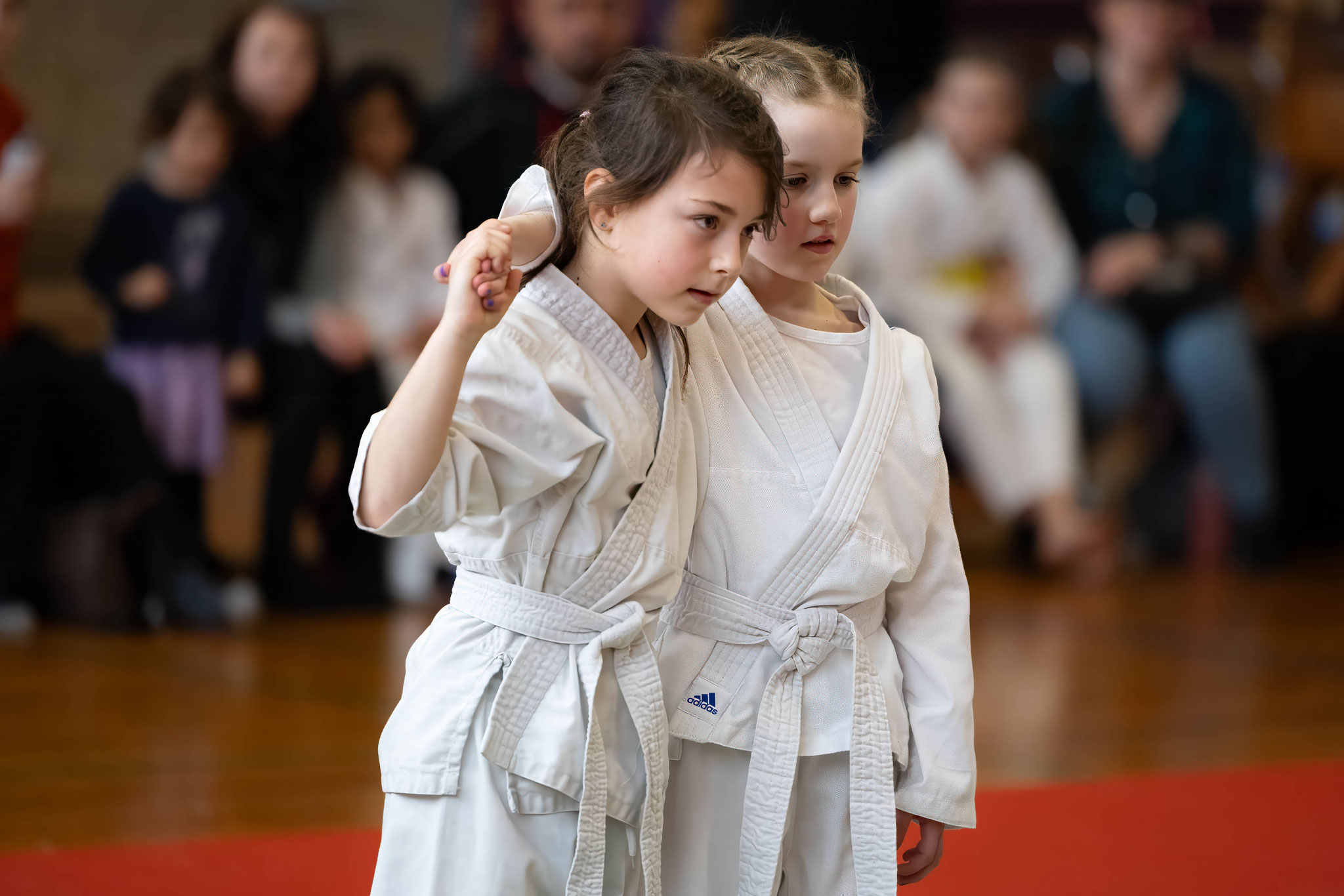 Jiu-Jitsu Lions / Jiu-Jitsu Dragons / Zen-Ki-Budo e.V.