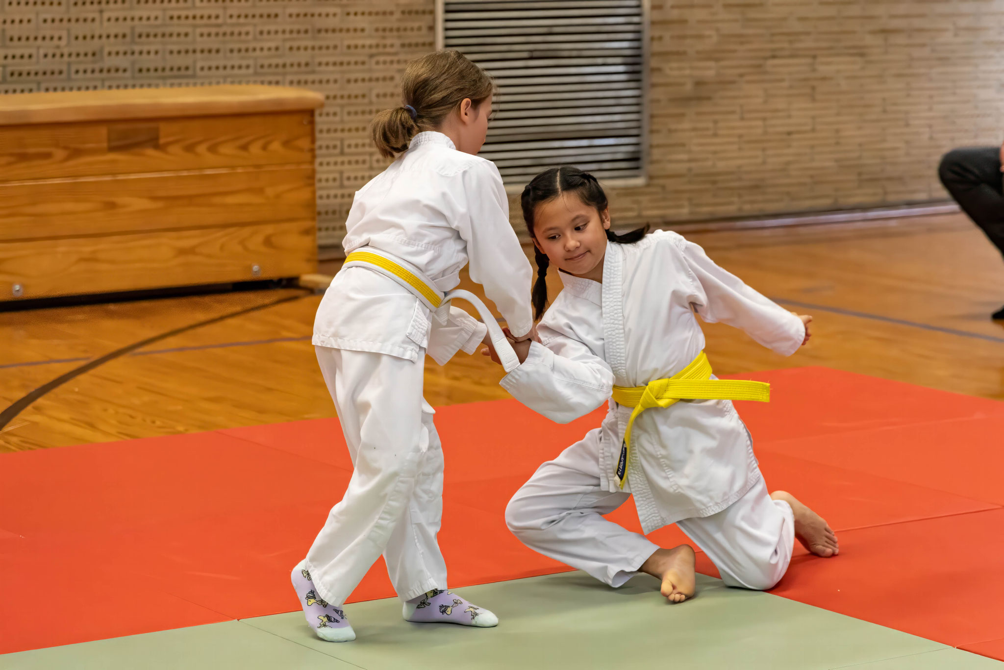 Zen-Ki-Budo .V. - Selbstverteidigung - Jiu-Jitsu