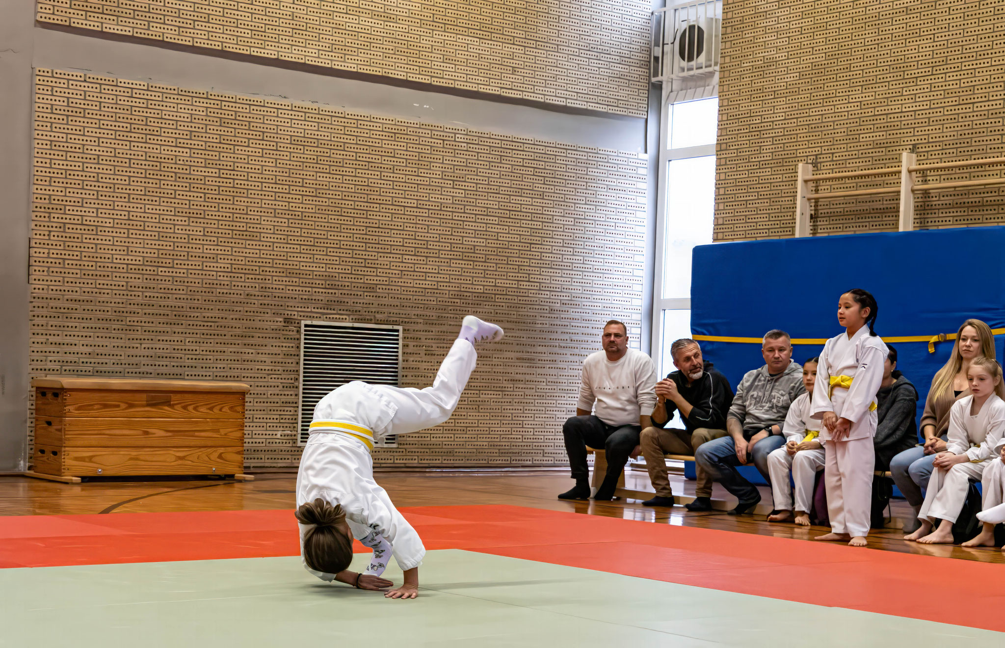 Zen-Ki-Budo .V. - Selbstverteidigung - Jiu-Jitsu
