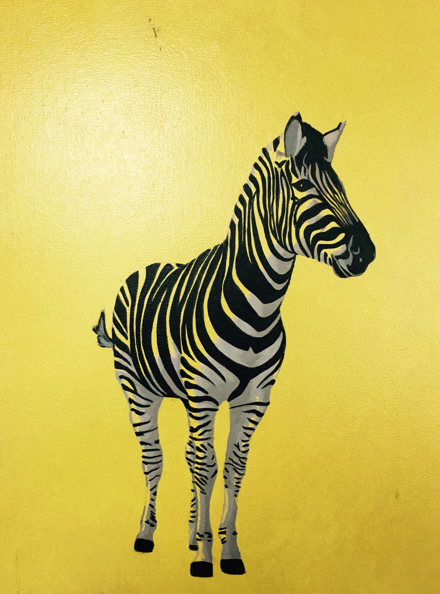 zebra 1, acrilico, 2011, 30x40