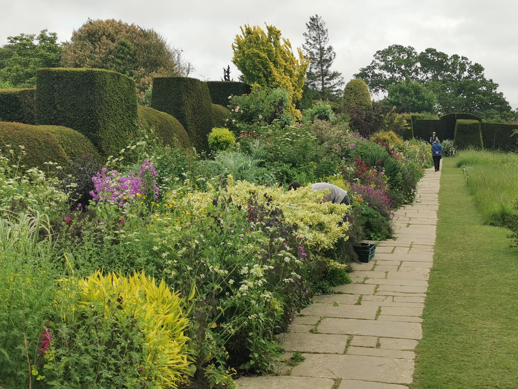 Border in Great Dixter