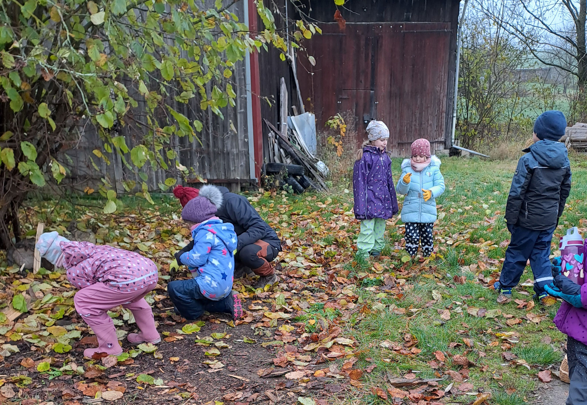 Kinder beim Nüsse sammeln