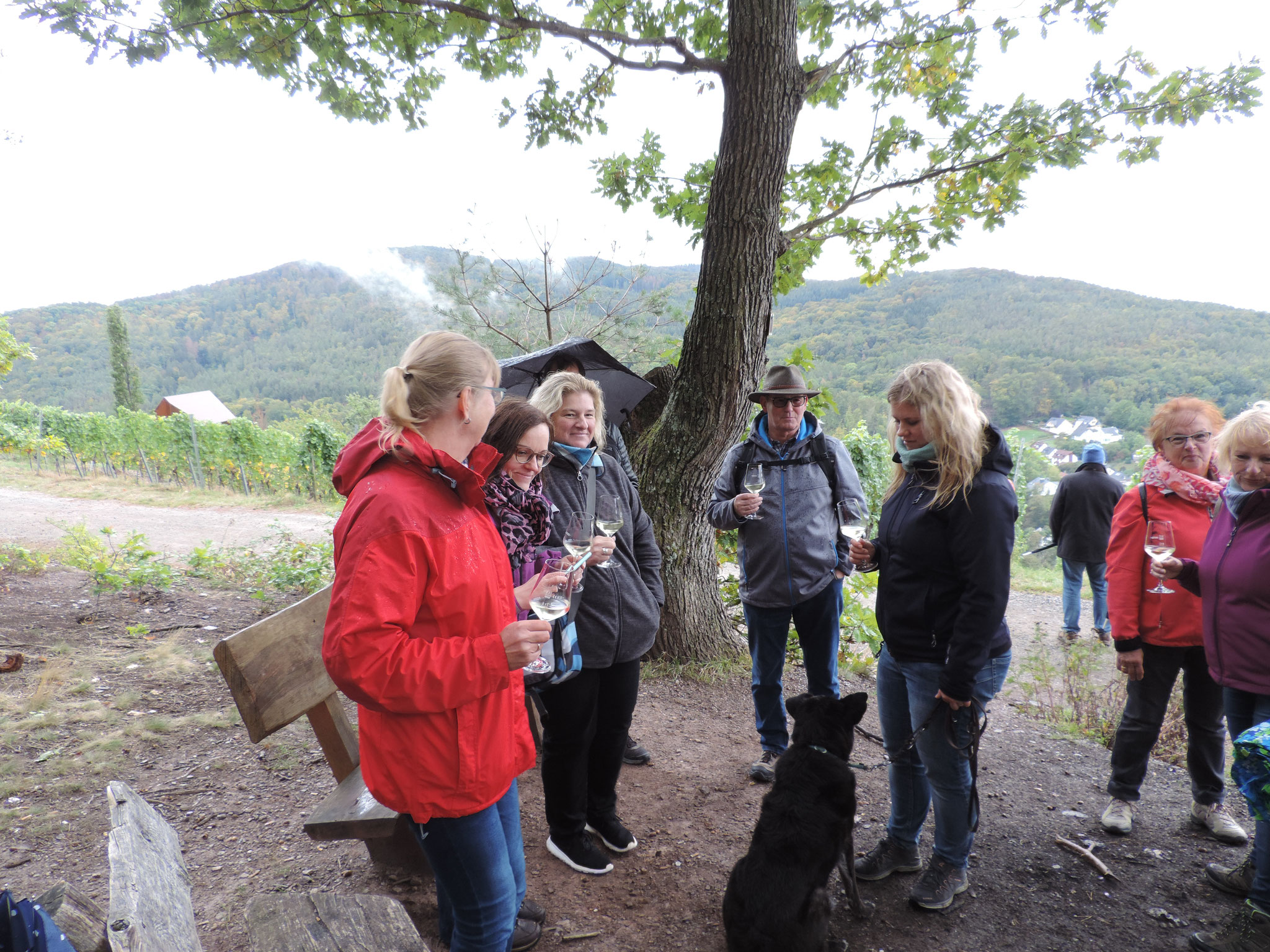 Weinbergwanderung Michelbach 03.10.2020 6