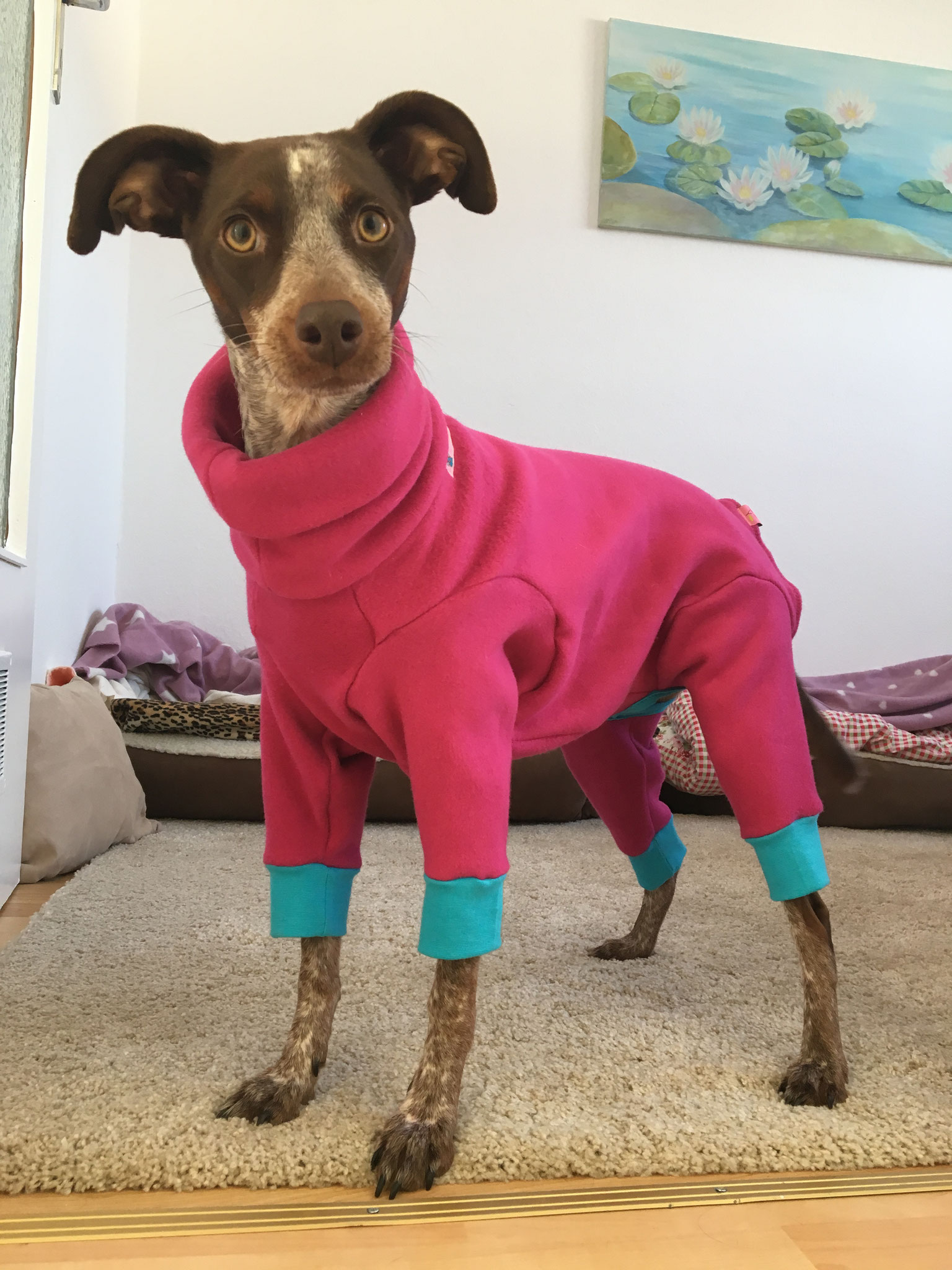 Doggy-Jumpsuit *exclusive* HIER im Shop! 
