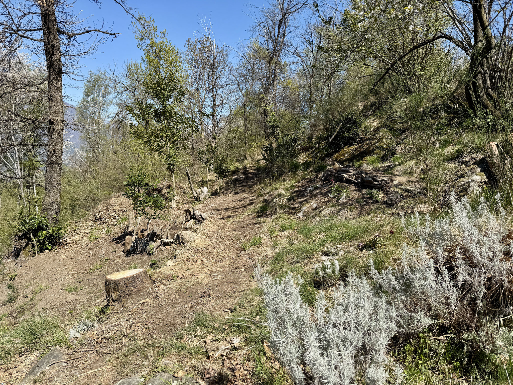 NATURGARTEN