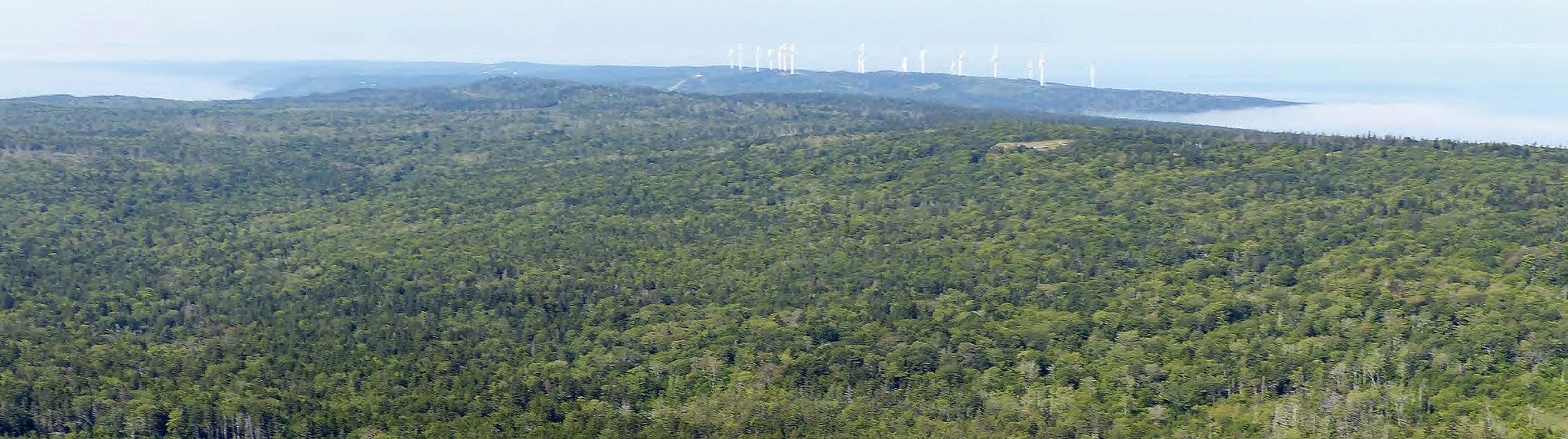 title:Weymouth Forest,title2:Wald mit Ufer,provinz:Nova Scotia,bezirk:Digby,art:Mischwald,flaeche: 1.159 ha,ufer:3.085 Meter,preis:verkauft