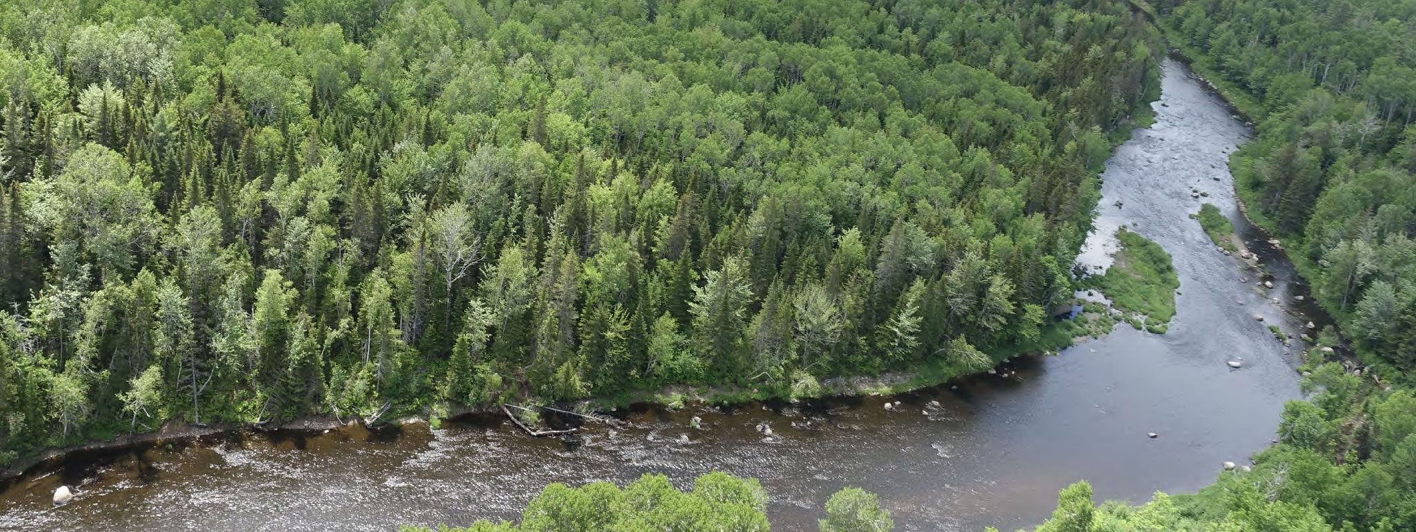 title:Miramichi Forest,title2:Wald mit Ufer,provinz:New Brunswick,bezirk:Northumberland,art:Mischwald,flaeche: 1.287 ha,ufer:7 km,preis:auf Anfrage