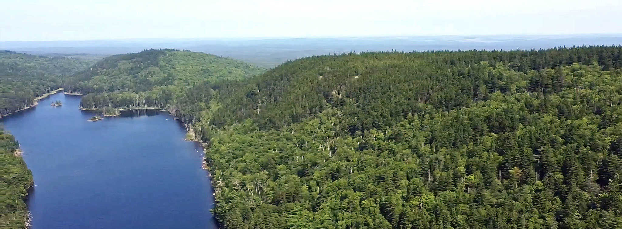 title:Mc Keel Lake Forest,title2:Wald mit Ufer,provinz:New Brunswick,bezirk:Kings,art:Mischwald,flaeche: 214 ha,ufer:1.800 m,preis:auf Anfrage