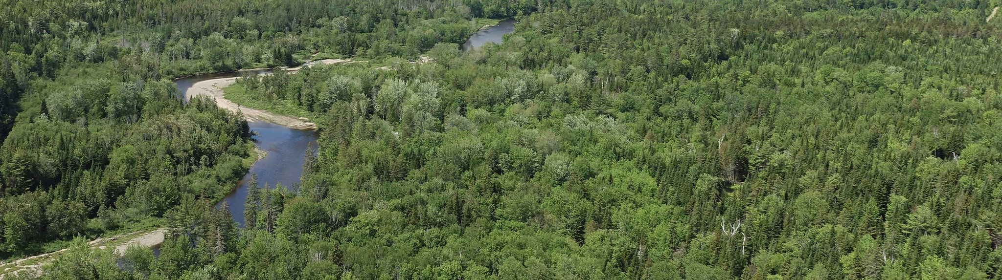 title:Boyd Mountain Forest,title2:Wald mit Ufer,provinz:New Brunswick,bezirk:Albert,art:Mischwald,flaeche:237 ha,ufer:3.000 Meter,preis: verkauft