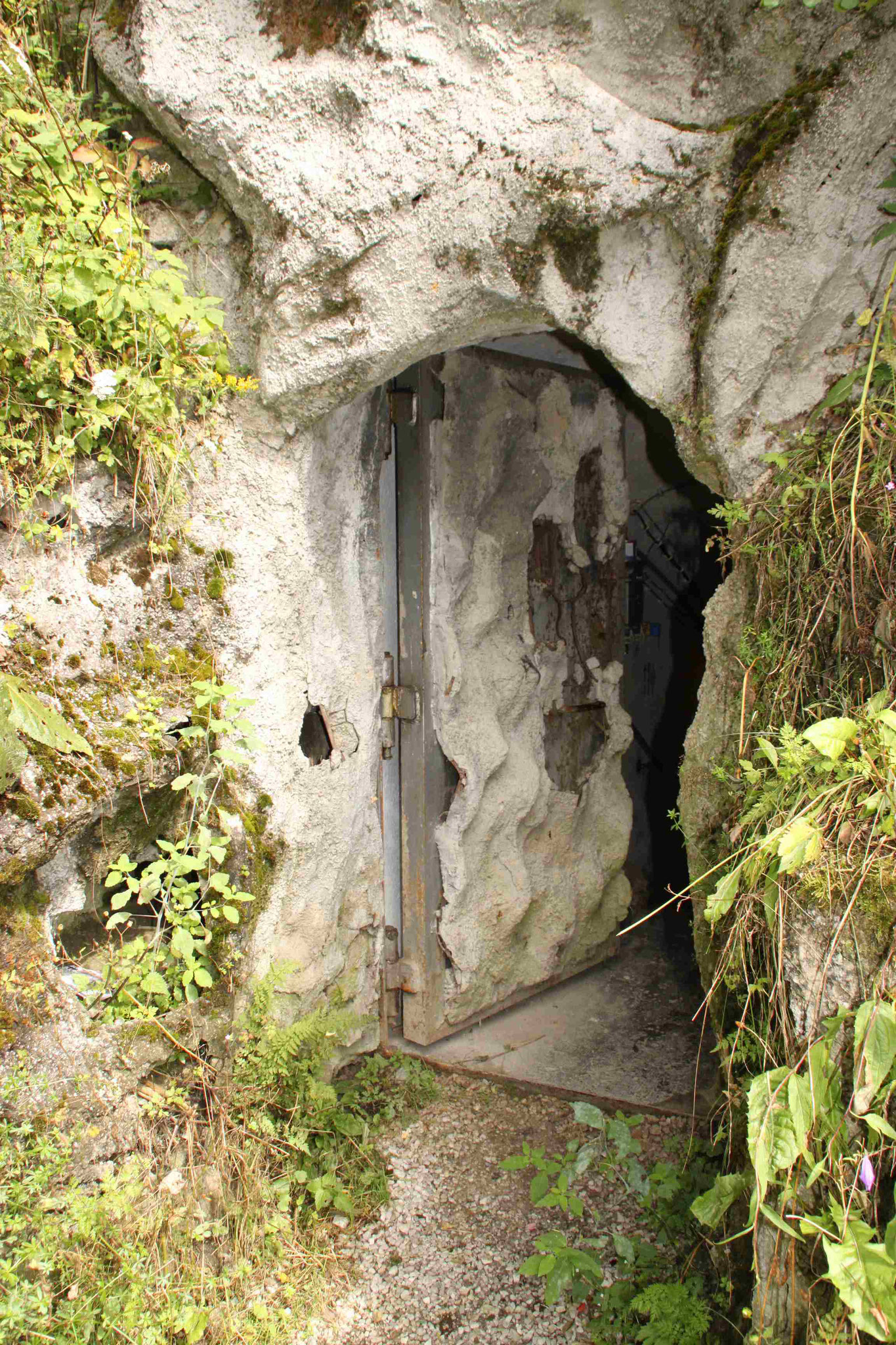 La porta di ingresso al bunker, accuratamente mimetizzata.