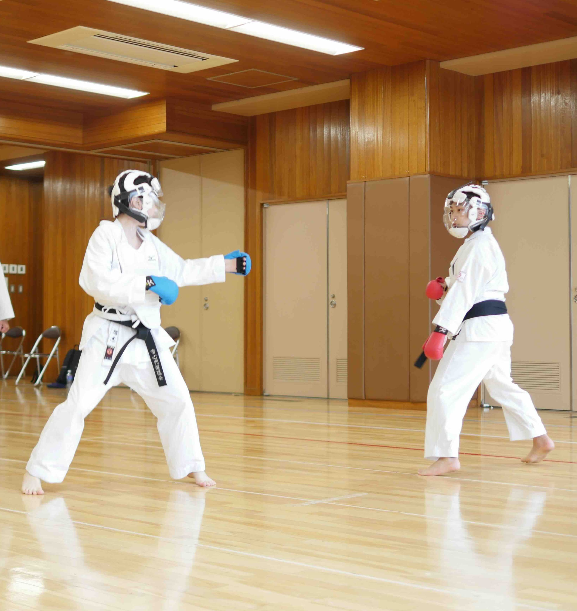 着実に成長し、黒帯を目指せます