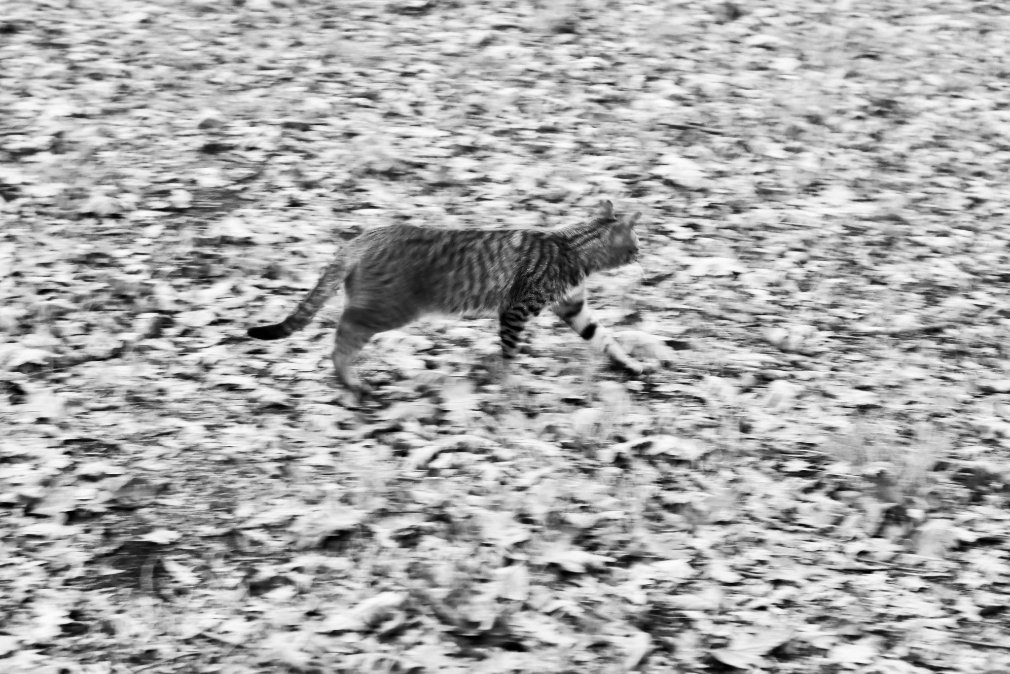 certa manhã | travancinha | outubro 2025