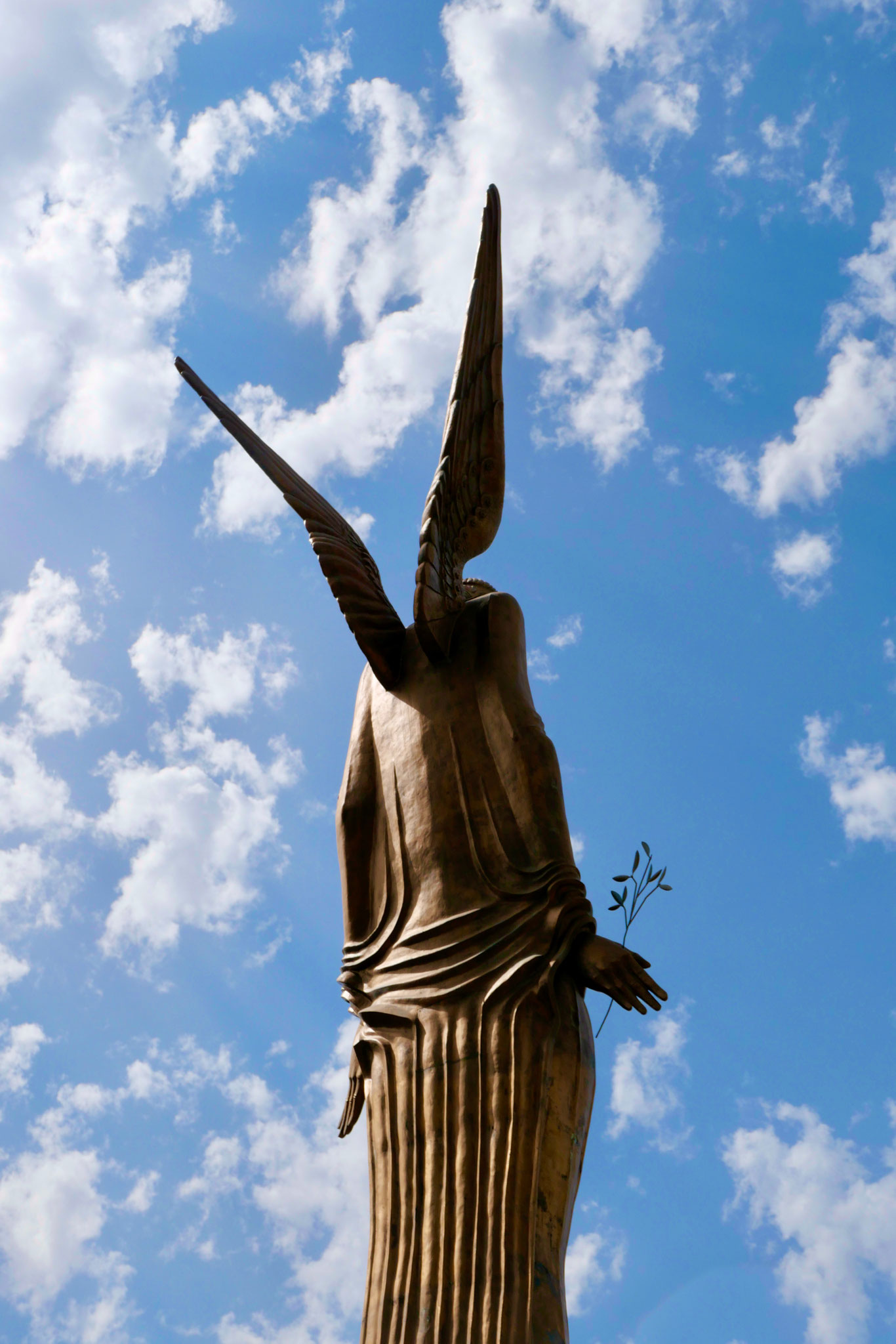 as asas do meu desejo | entre-os-rios | agosto 2025