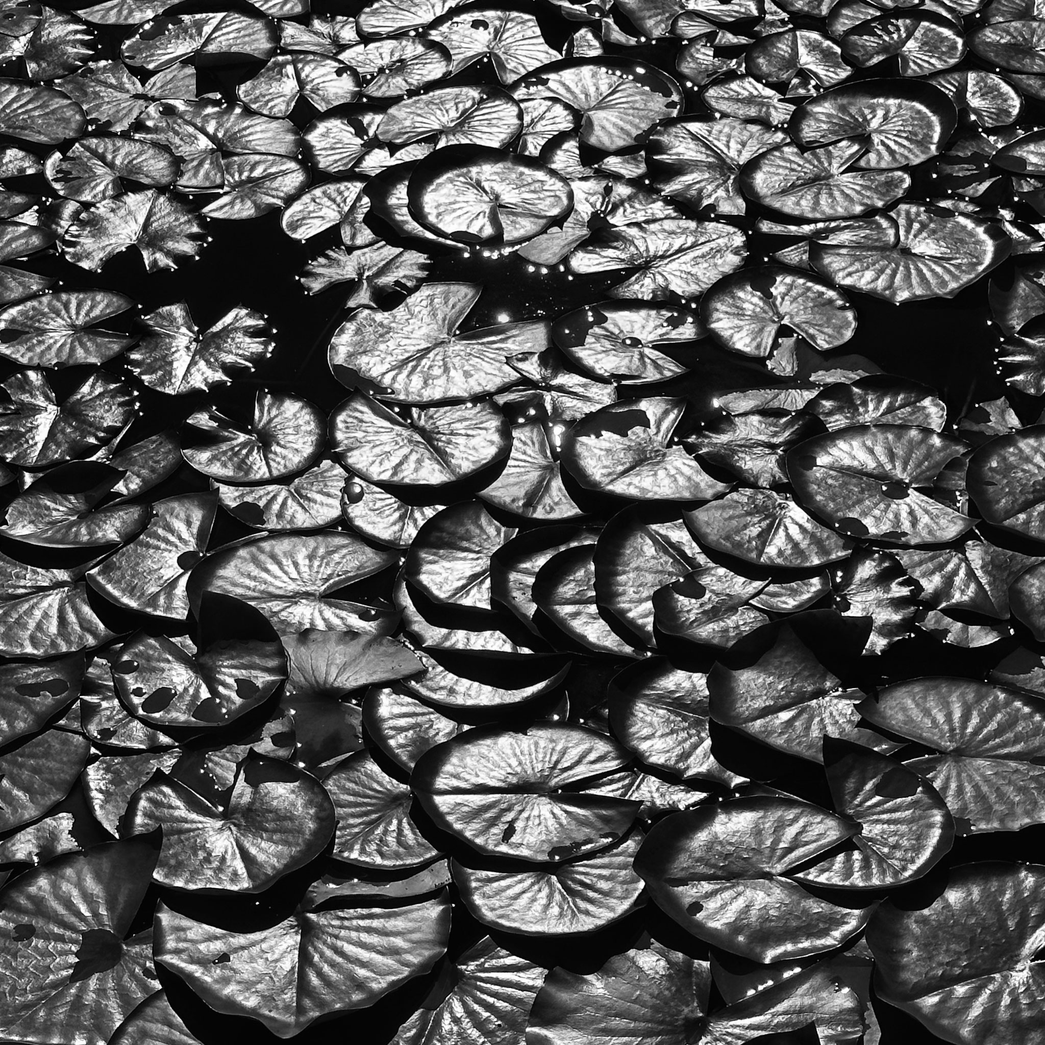 insustentável leveza | travancinha | outubro 2025