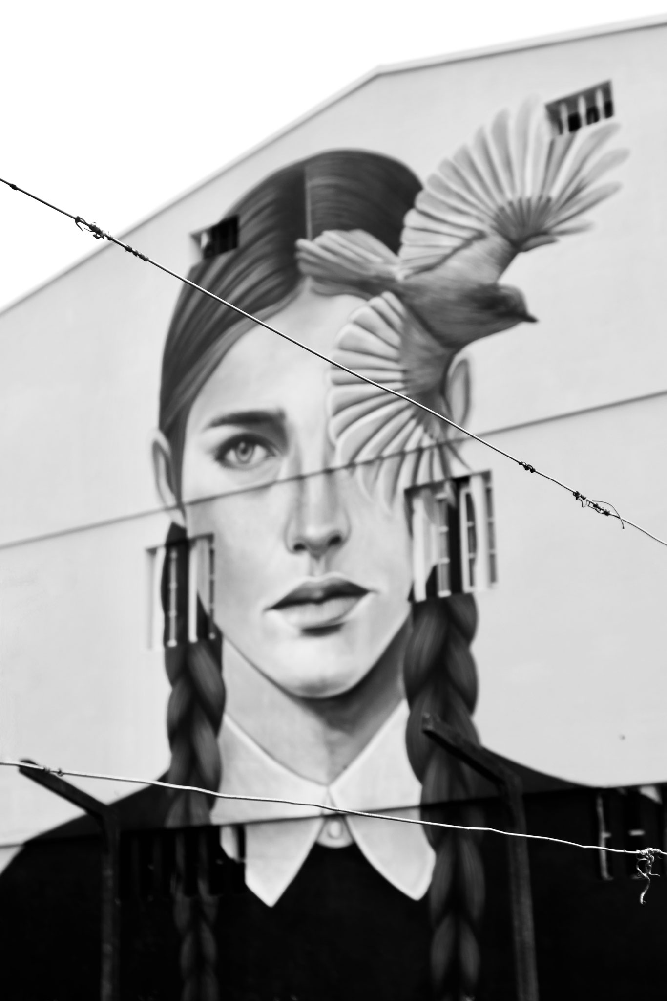 eyes & wires | valezim | outubro 2025