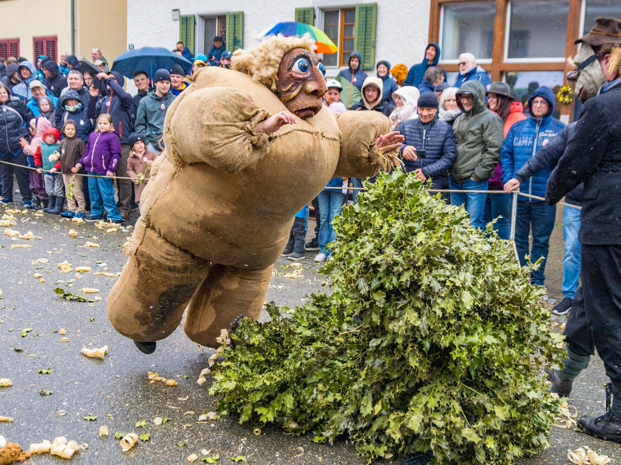 De Stromuni und Stechpalmler bekämpfen sich