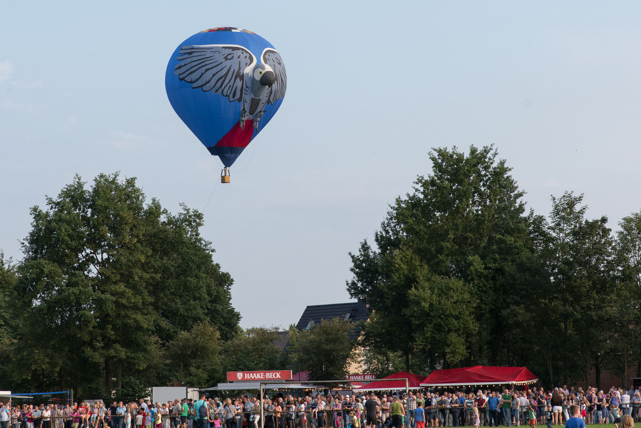  Barnstorfer Ballon-Fahrer Festival