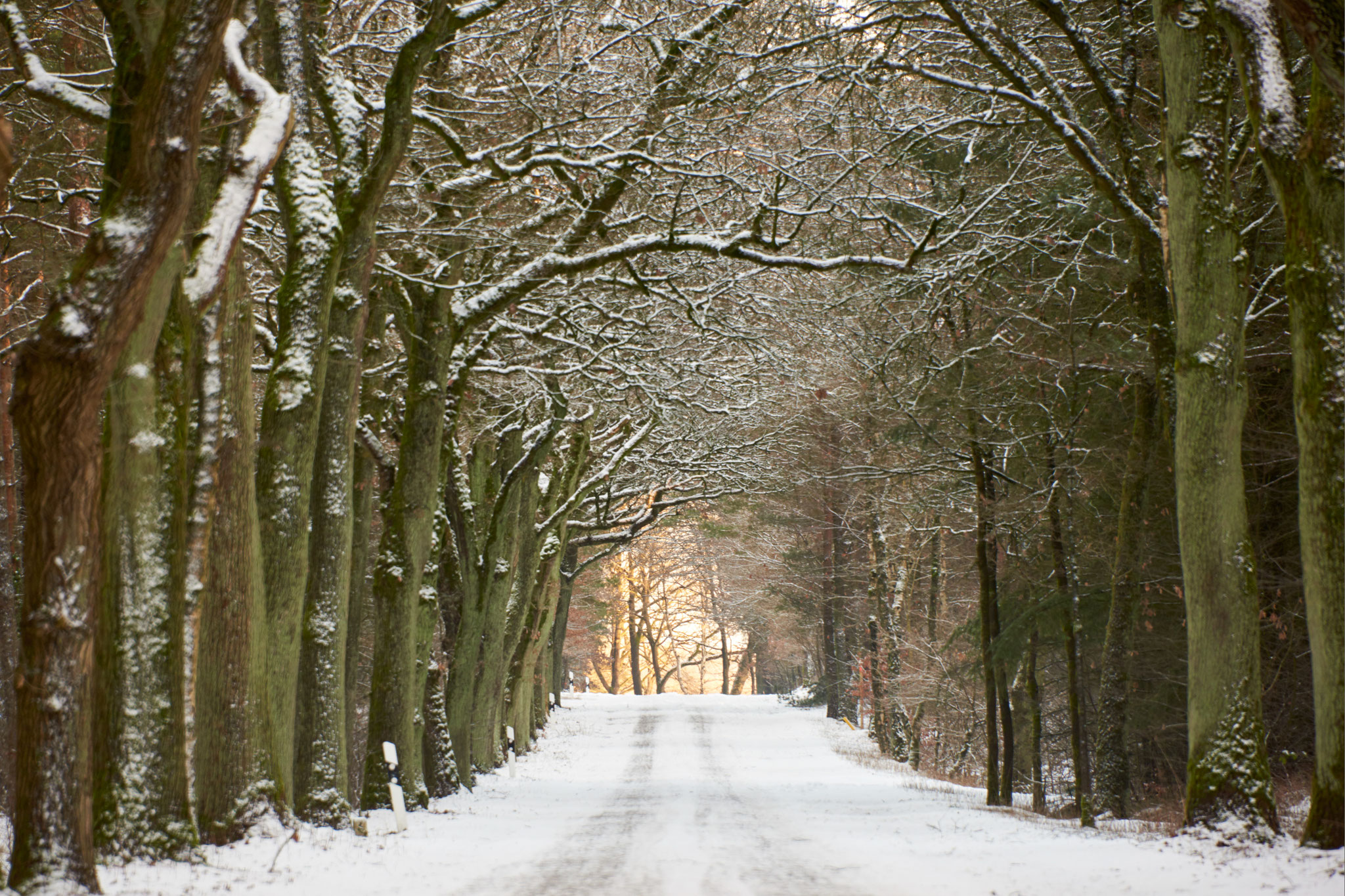 Winter Historische Straße Kükenmoor