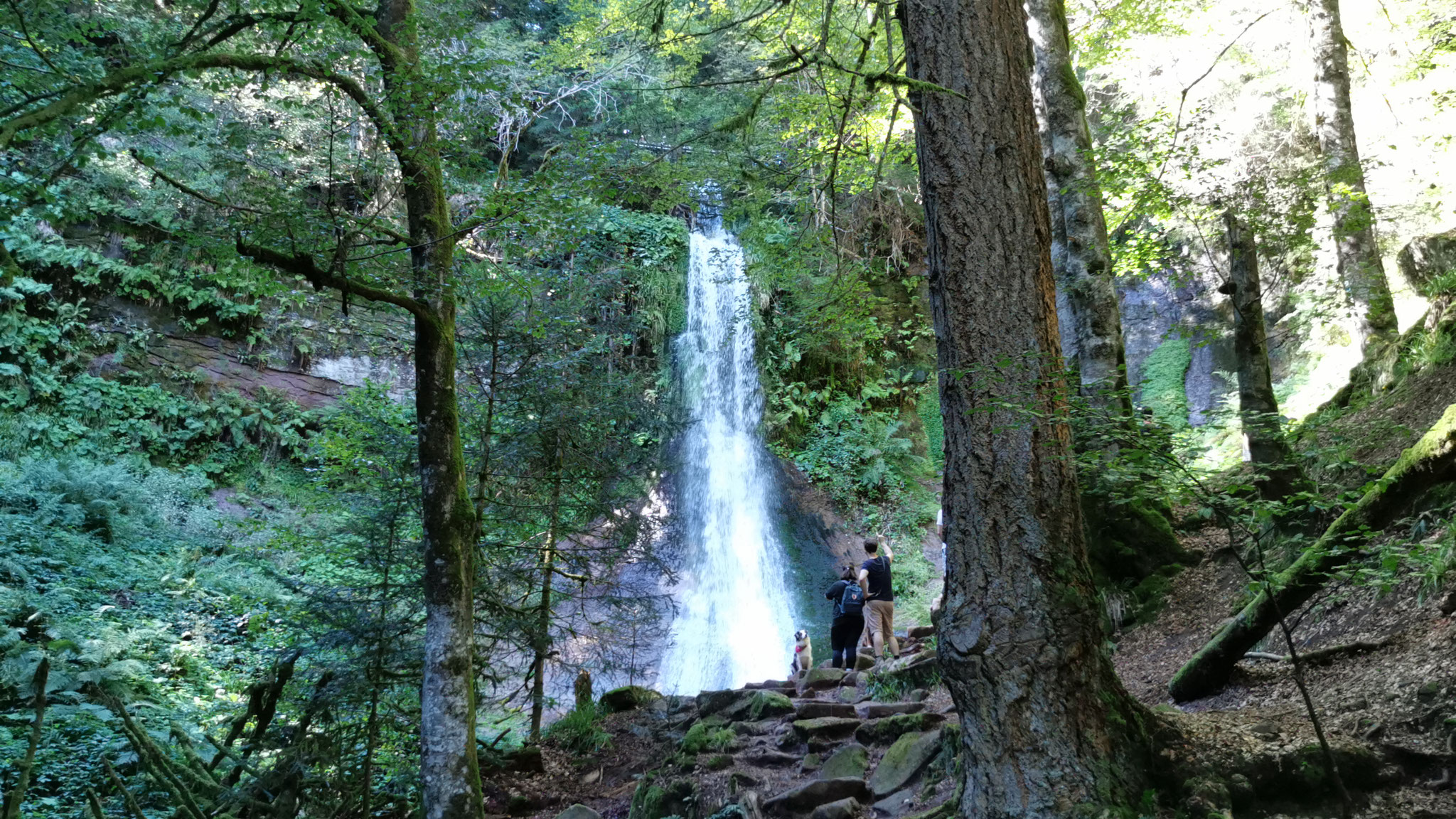 Sankenbach Wasserfall