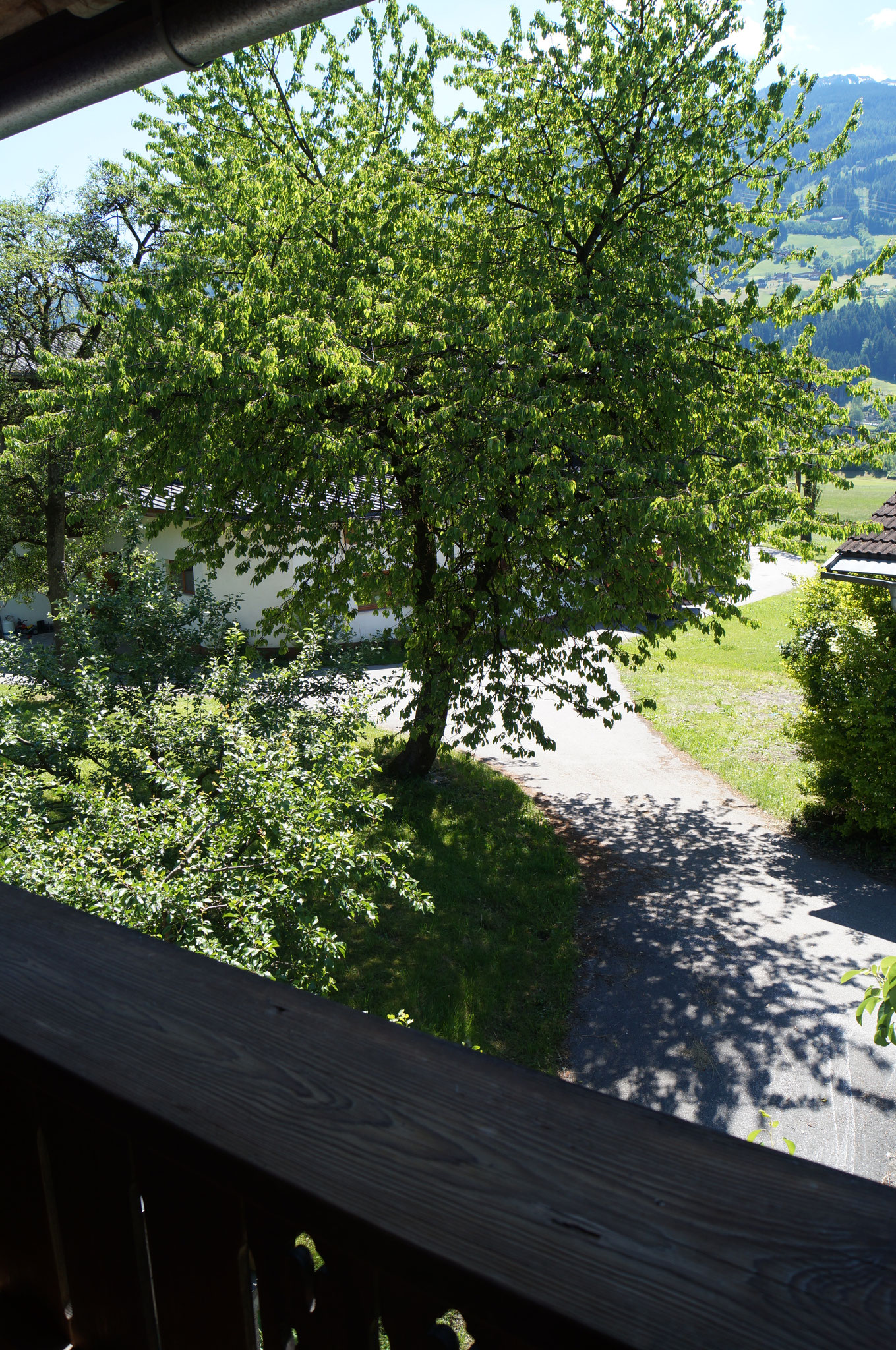 Balkonaussicht