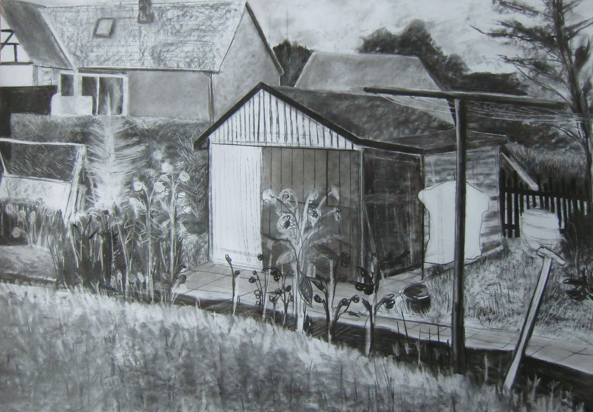 Laube, 2014, Kohle auf Papier, 70x100cm