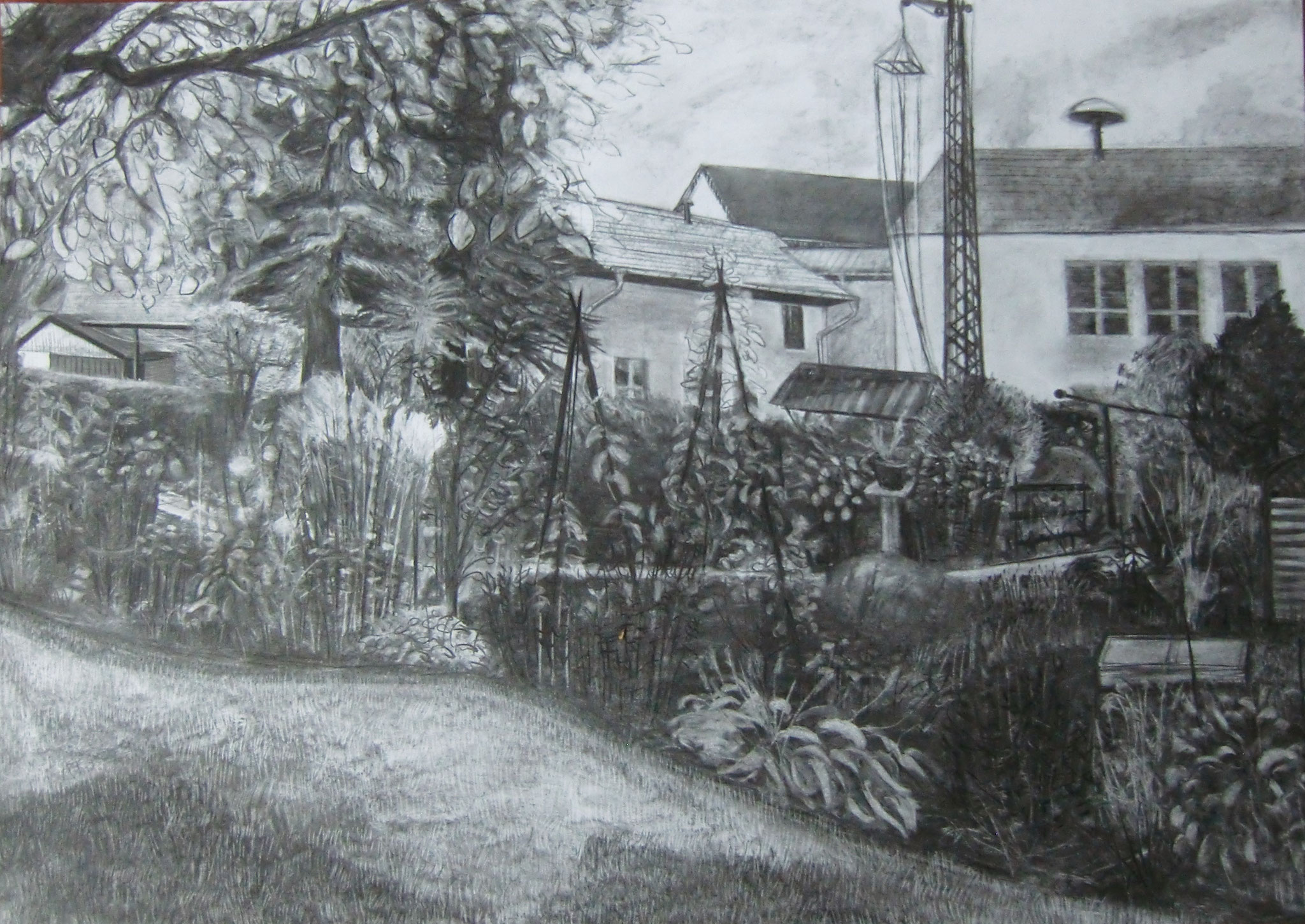 Garten, 2014, Kohle auf Papier, 70x100cm