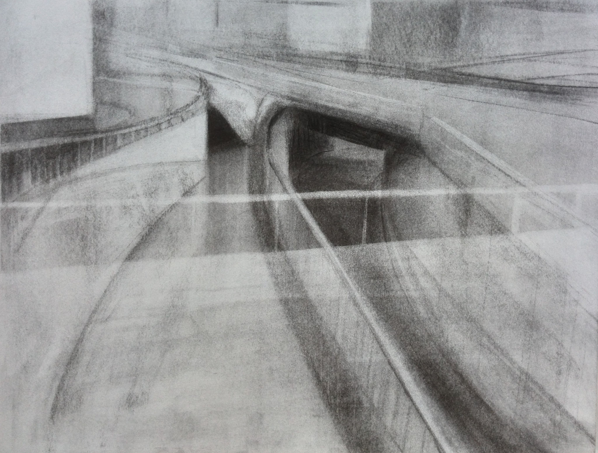 Dämse, 2012, Kohle auf Papier, 30x40cm