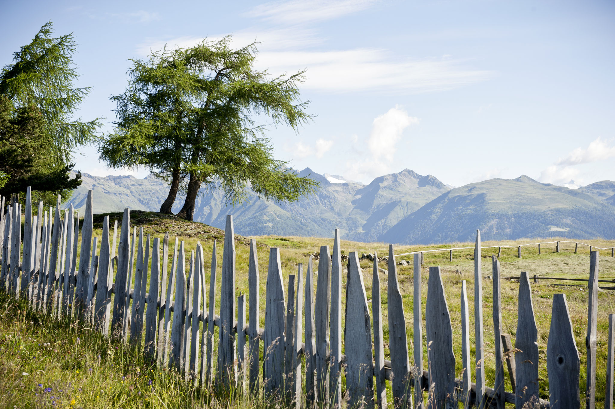 Rodenecker Alm in Gitschberg Jochtal