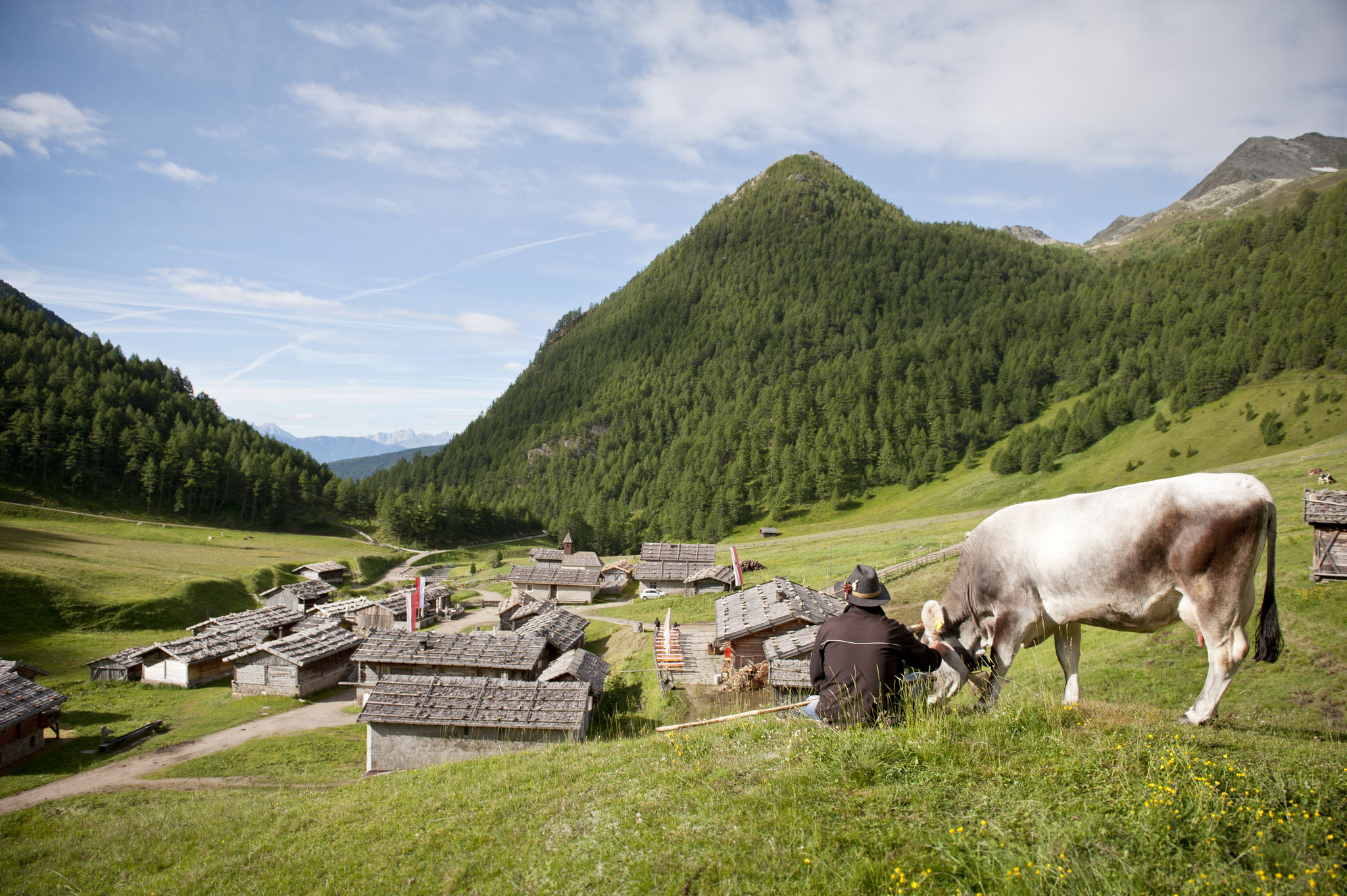 Fanealm in Gischberg Jochtal