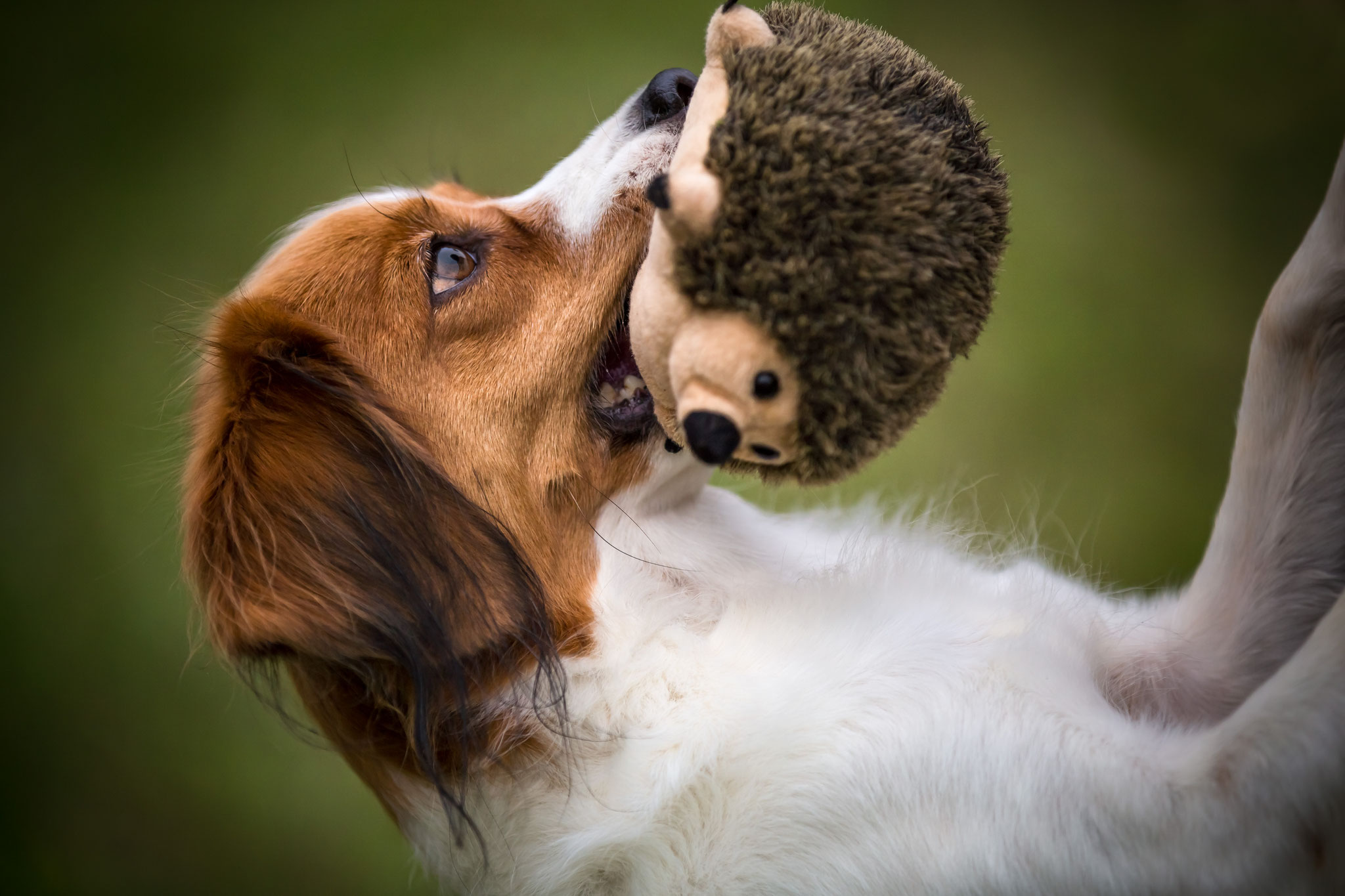Foto: Susanne Wittwer
