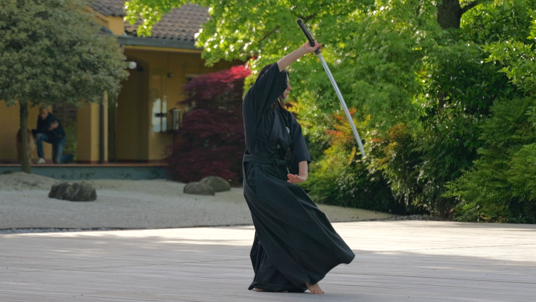 Dojo Maharishi Sathyananda - Ai Jutsu