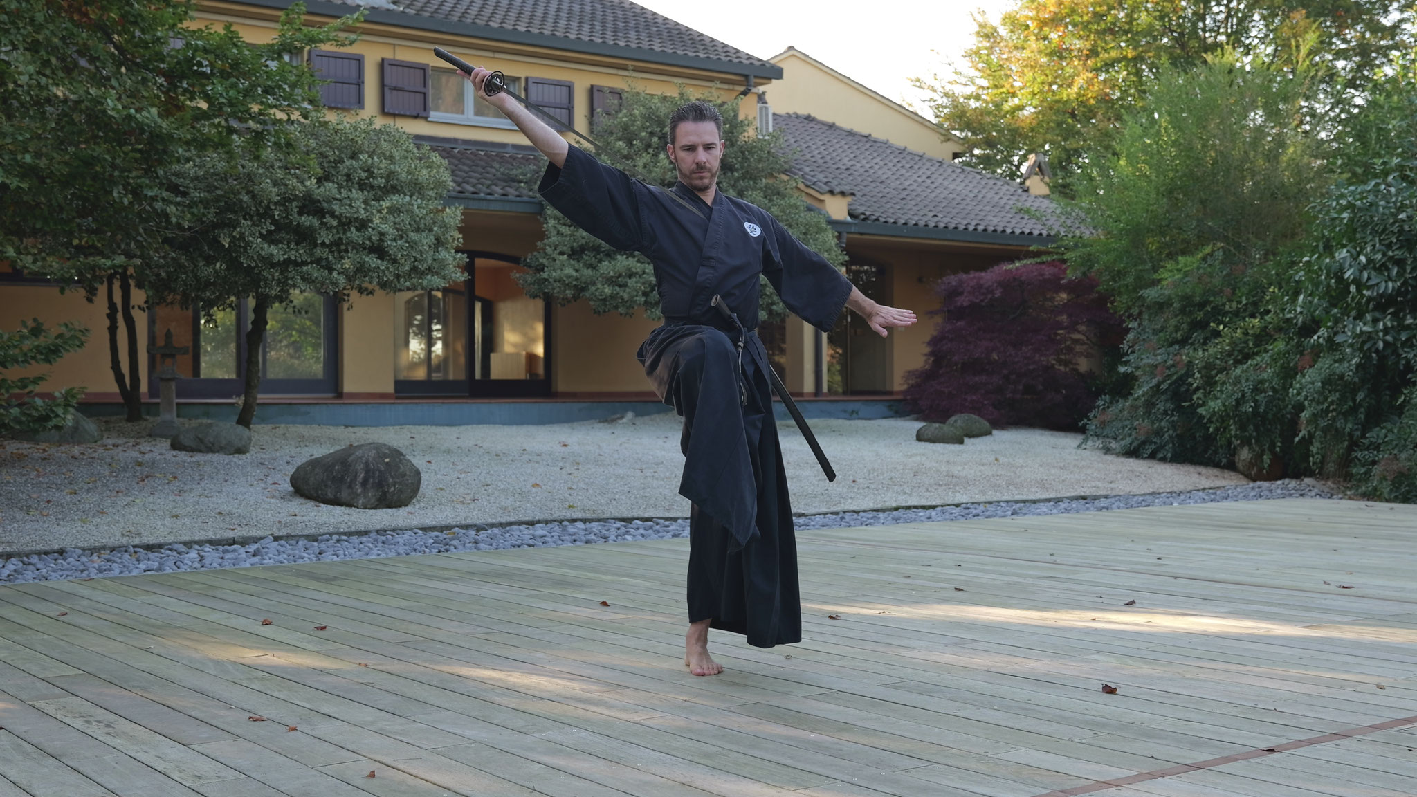 Dojo Maharishi Sathyananda - Ai Jutsu