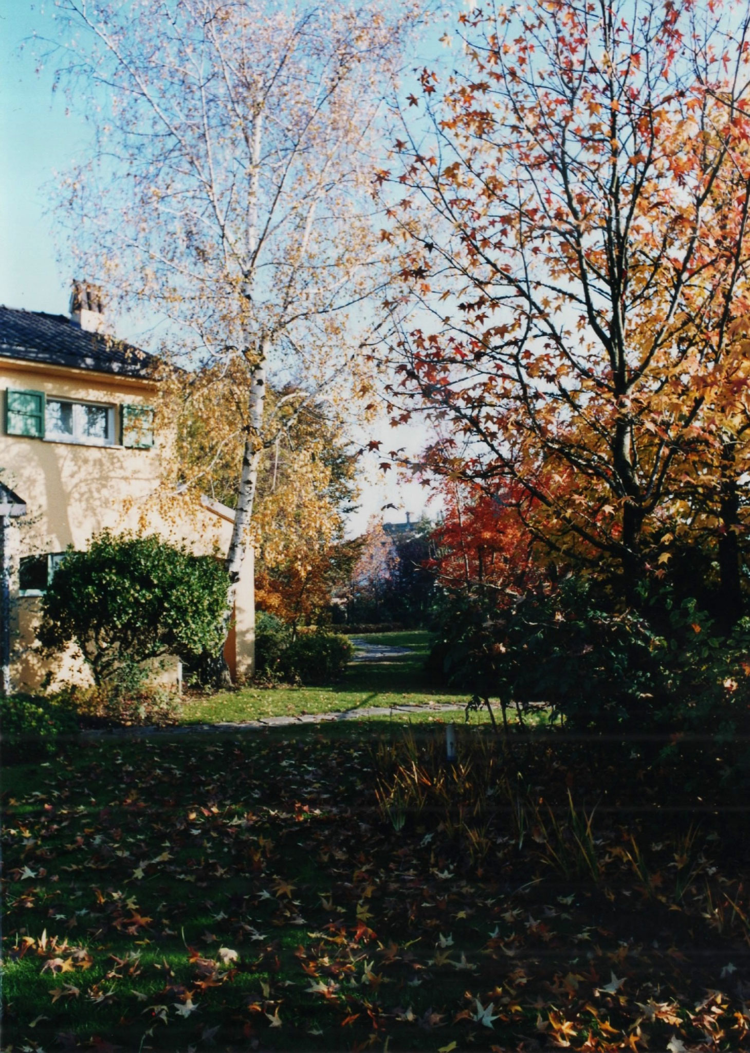 foto antica del dojo