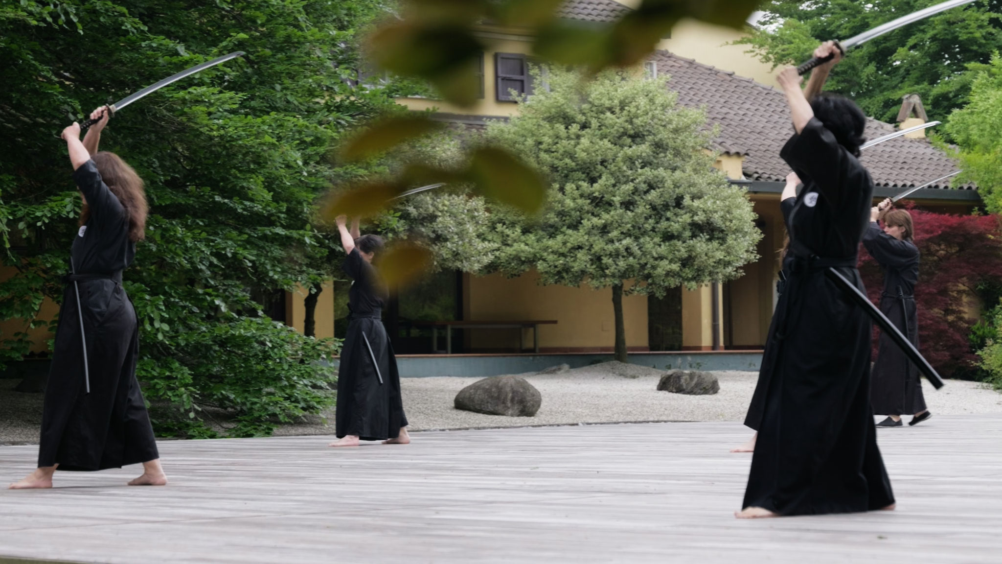 immagini di un seminario di ai jutsu al dojo di pavia