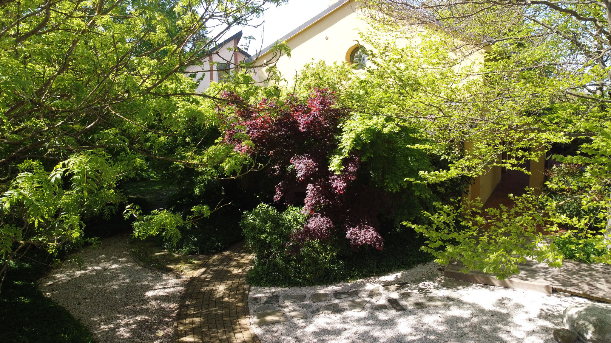 Dojo Maharishi Sathyananda - Entrata