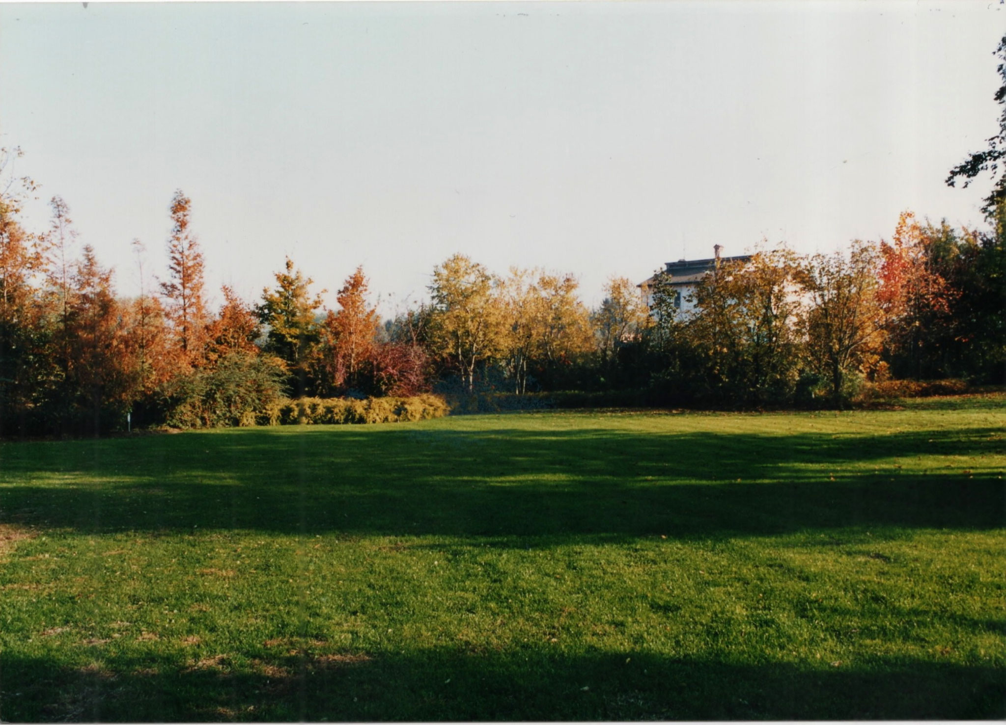 foto antica del dojo