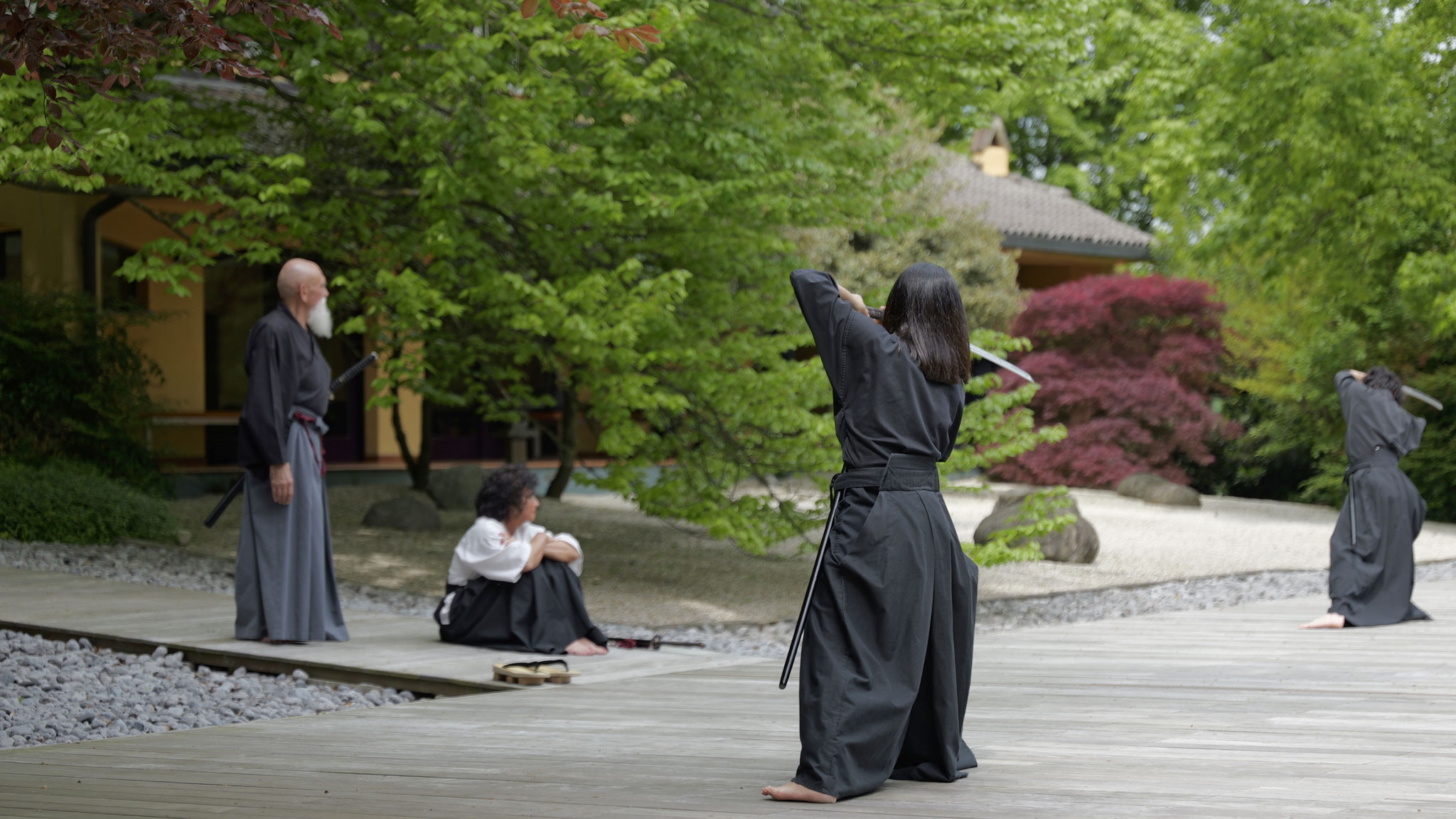 Dojo Maharishi Sathyananda - Ai Jutsu