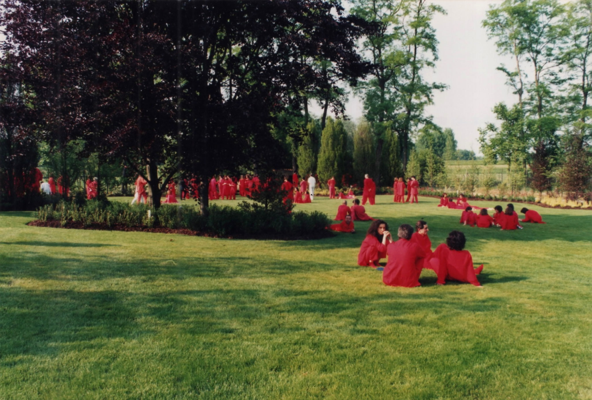 foto antiche del dojo