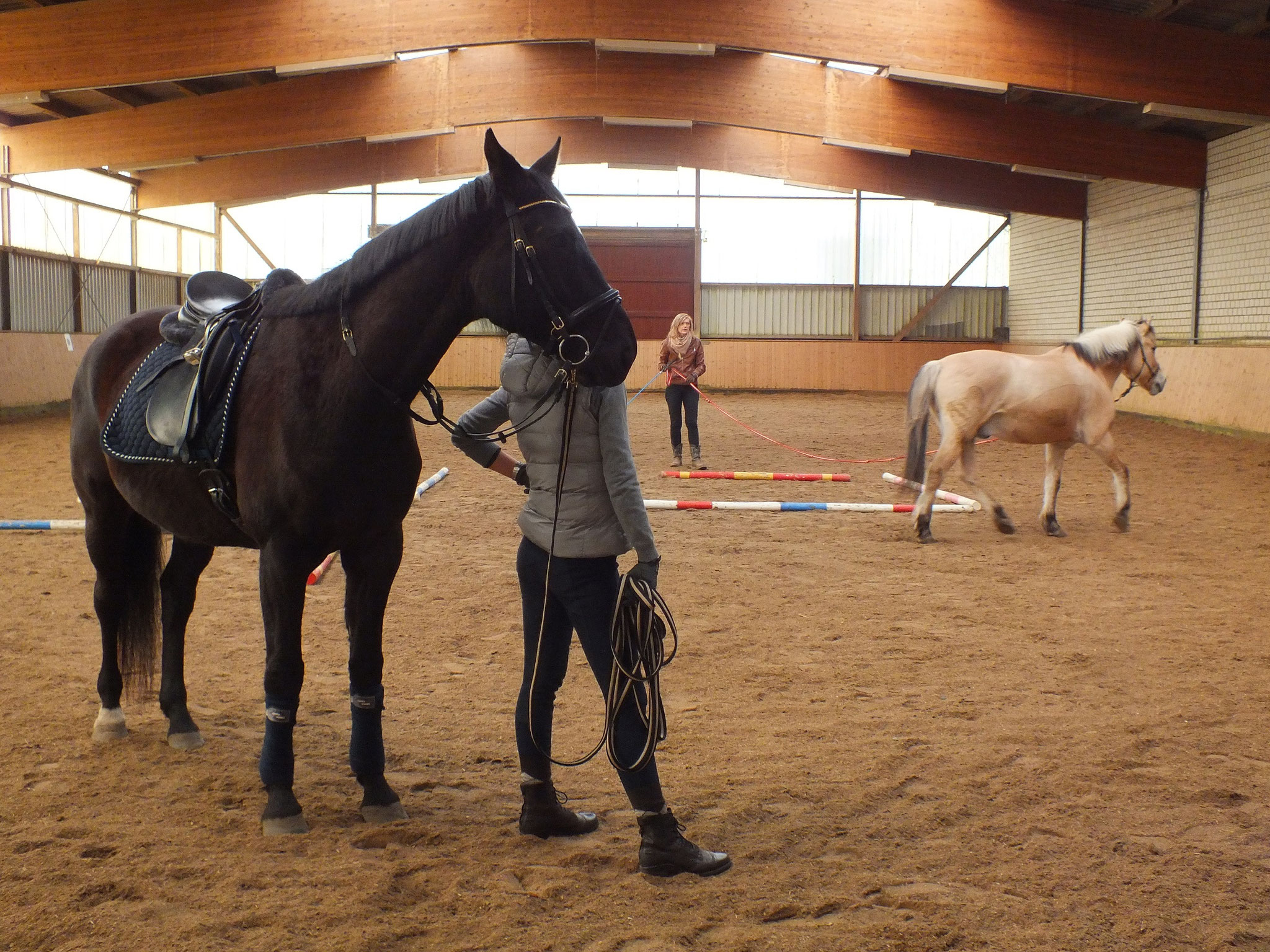 Reitausbildung - Westernreiten Katrin Plaul | Reitunterricht südlich ...