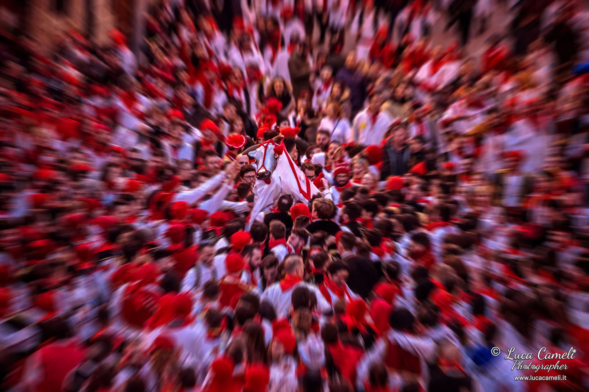 Carnevale Storico di Offida ~ Il Bove Finto (Lù Bov Fint). WPE International Photographers Awards. © Luca Cameli Photographer